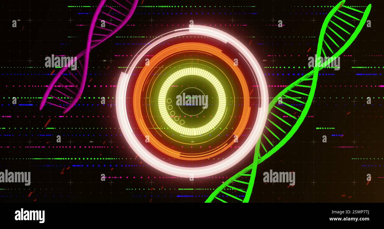 DNA strands and circular digital interface, scientific data processing image Stock Photo
