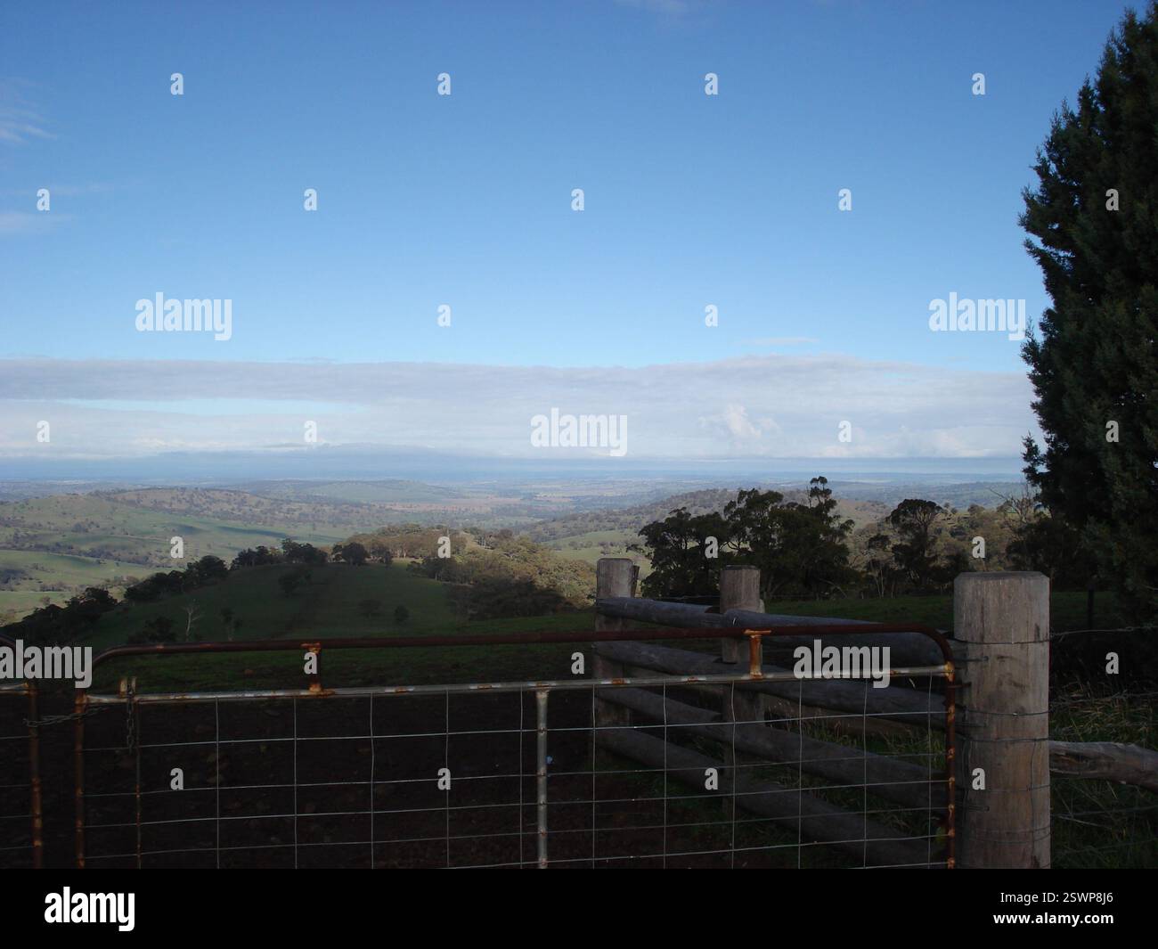 pasture in the Australian high country Stock Photo - Alamy
