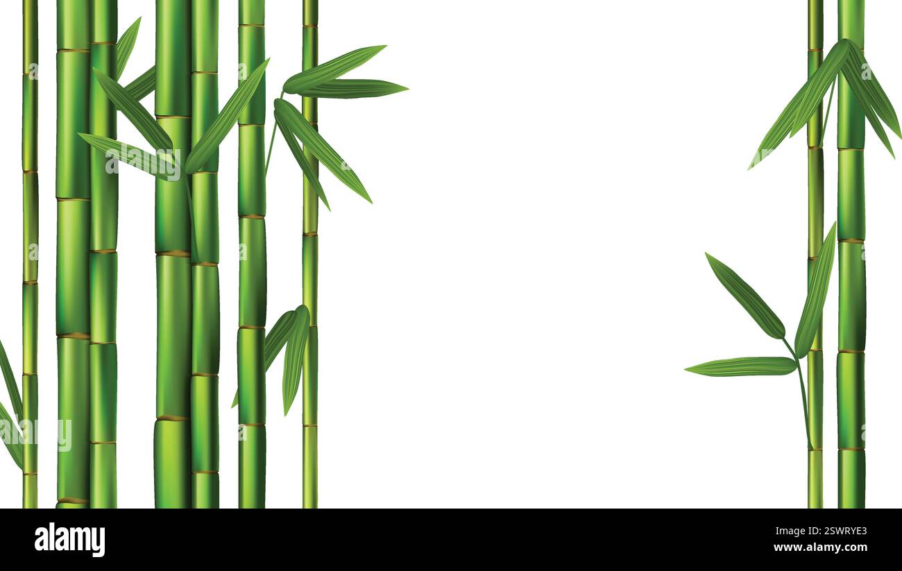 Green bamboo trunks background realistic vector illustration Stock Vector