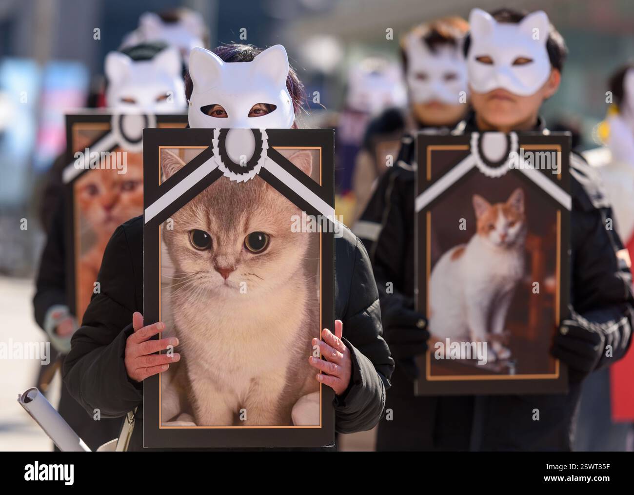 Activists wearing cat masks from animal rights groups hold placards ...