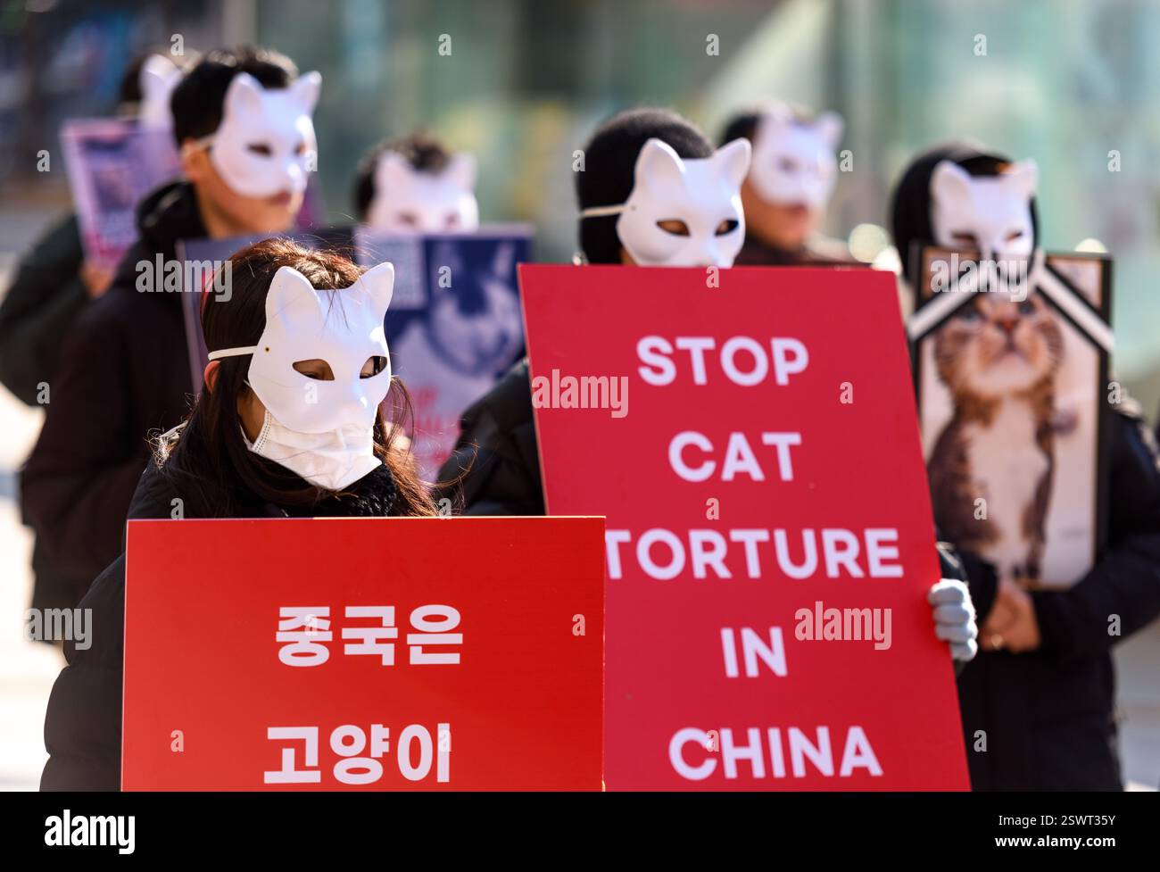 Activists wearing cat masks from animal rights groups hold placards ...