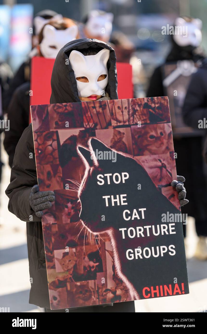 Activists wearing cat masks from animal rights groups hold placards ...