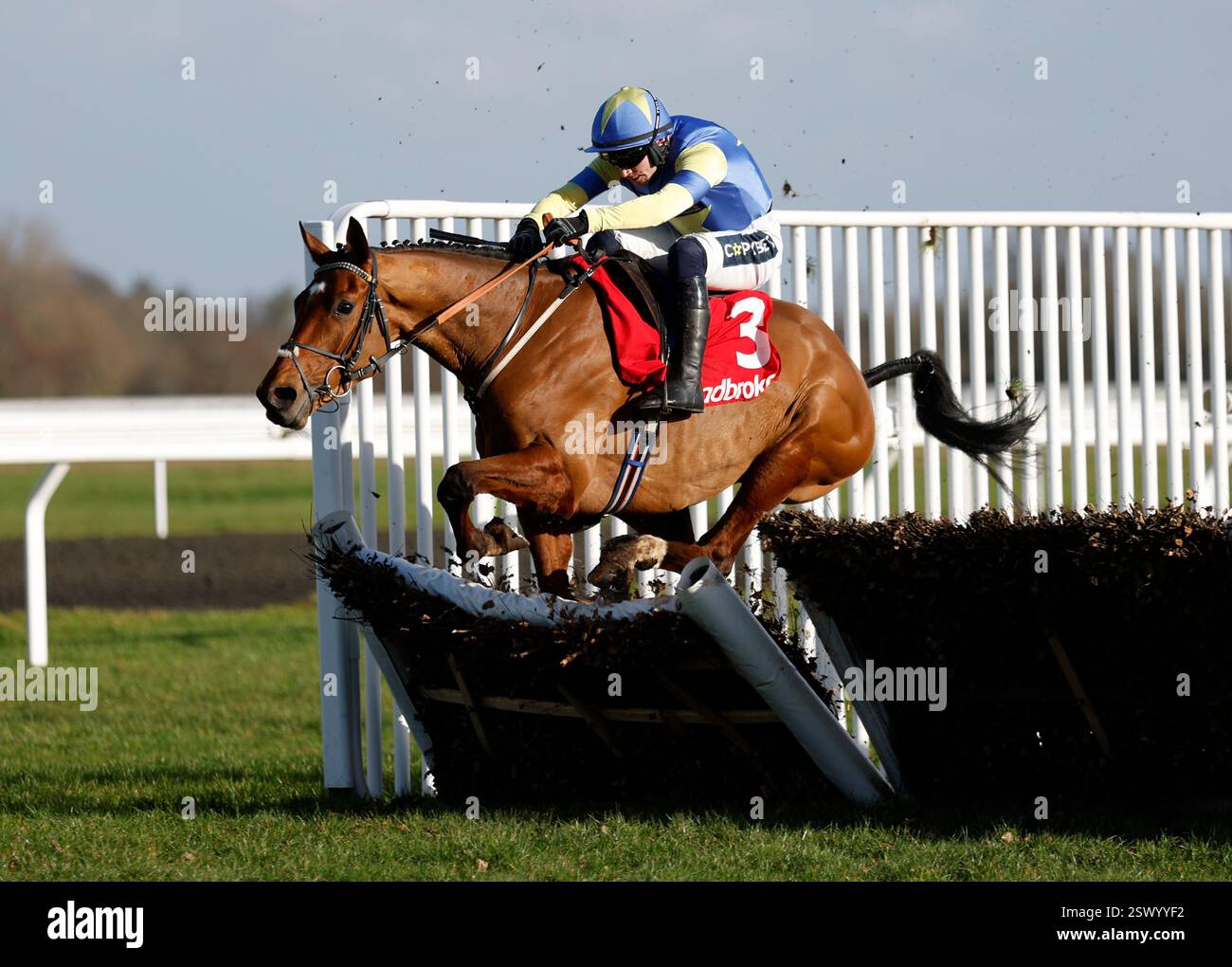 Tripoli flyer horse hi-res stock photography and images - Alamy