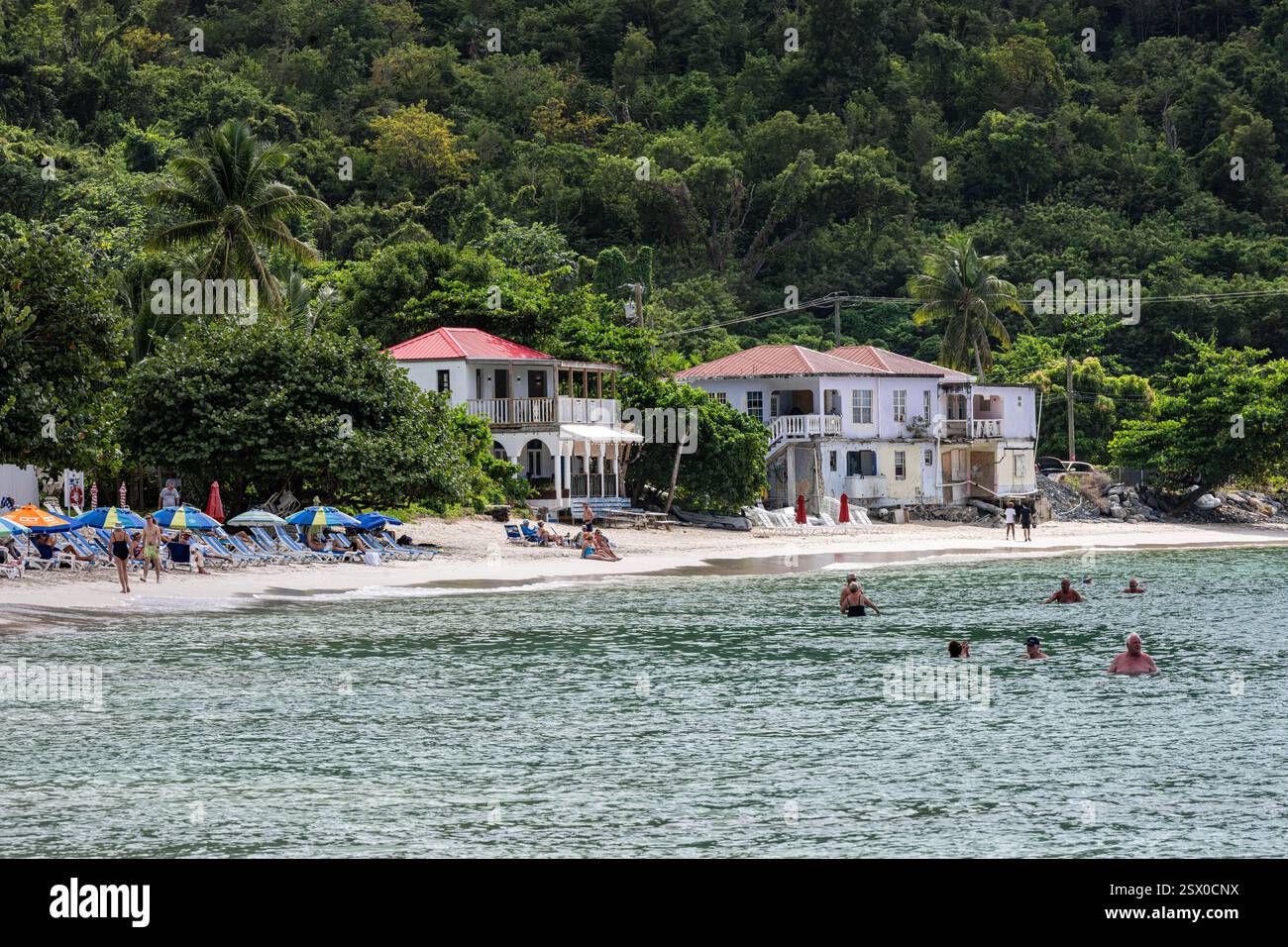 Beach Cane Garden Bay, Tortola, British Virgin Islands Stock Photo