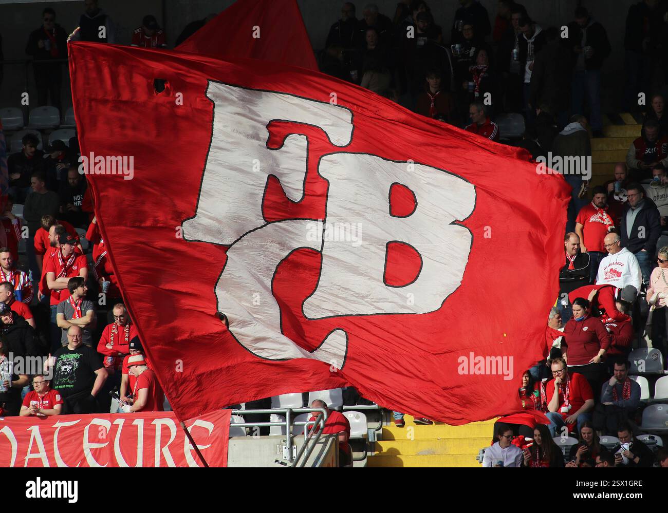 Fussball, Herren, Regionalliga Bayern, Saison 2024/2025, FC Bayern ...
