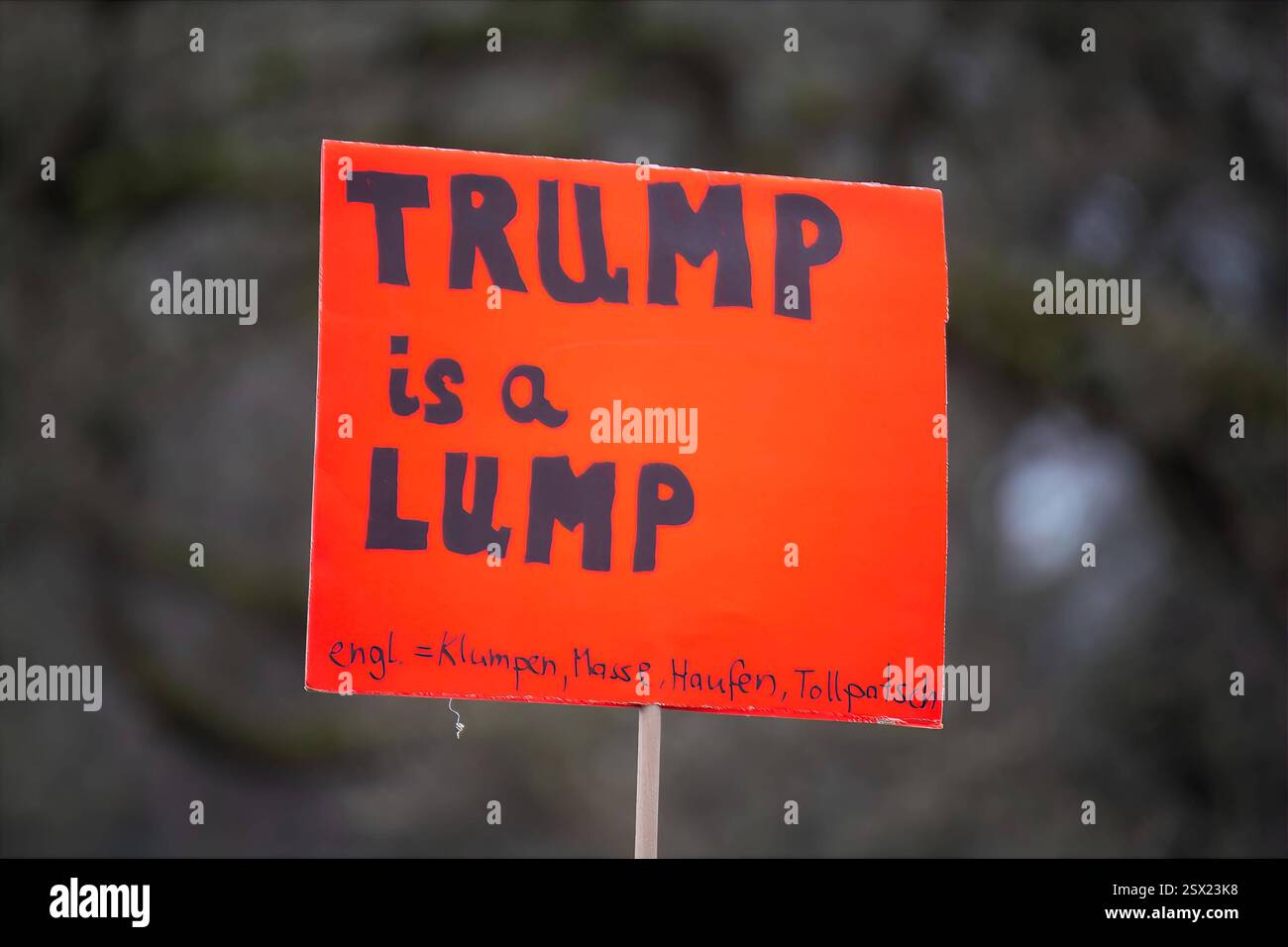 Aschaffenburg: Demo unter dem Motto ASCHAFFENBURG IST BUNT***Schild mit ...