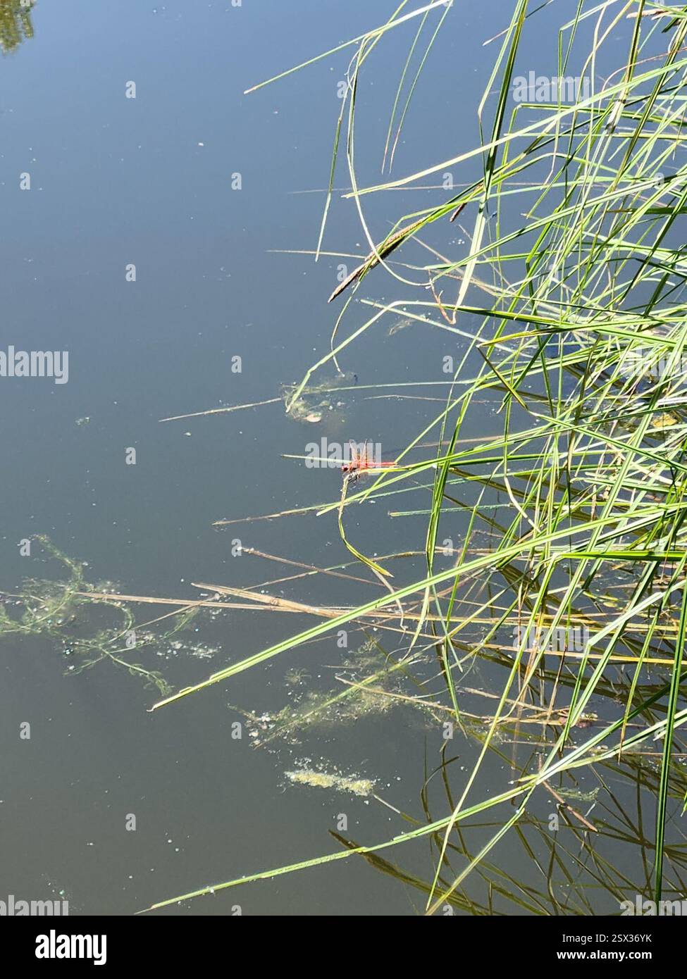 92220 hi-res stock photography and images - Alamy
