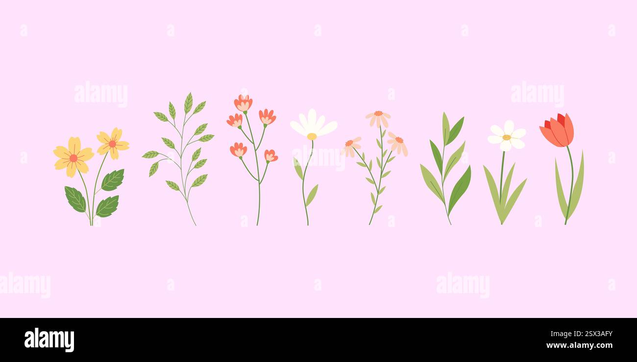 Spring wildflowers and branches isolated on pink background. Hand drawn vector illustration Stock Vector