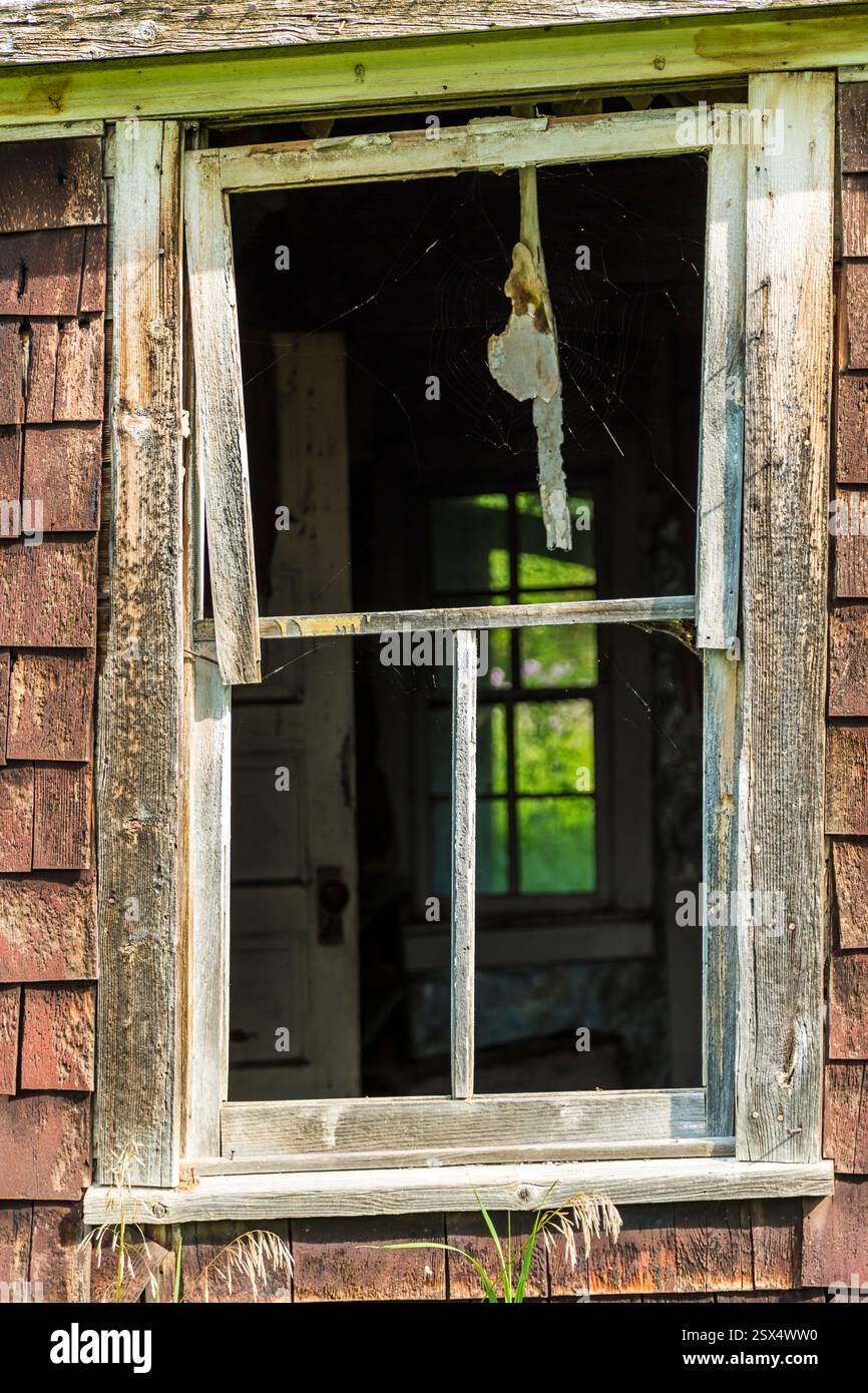 Window with a spider web on it is open, and the web is on the window sill. The window is located in a building with a wooden exterior. The spider web Stock Photo