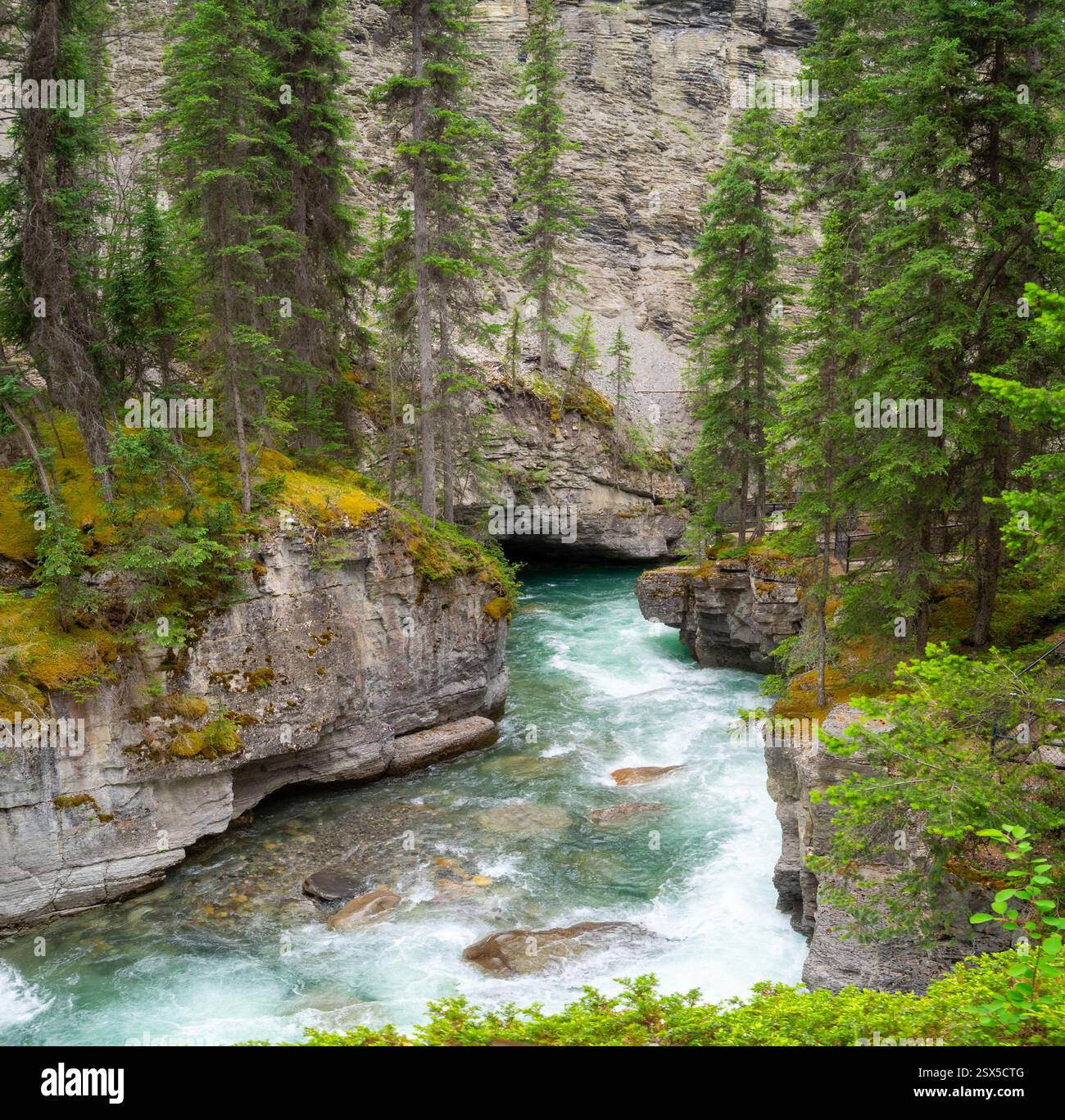 Maligne Canyon the river passing between the rocks Stock Photo - Alamy