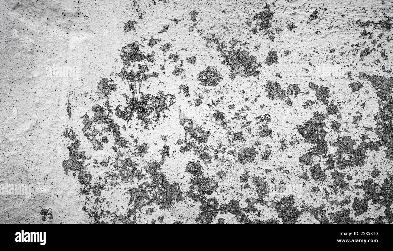 Old cement wall painted white as a background Stock Photo