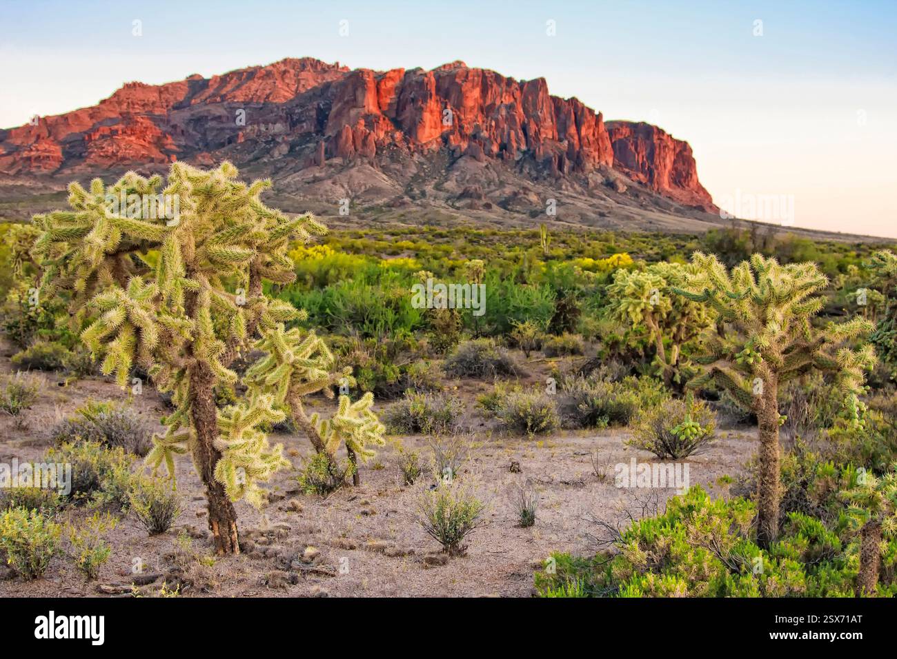 Sonoran desert sunset panorama hi-res stock photography and images - Alamy