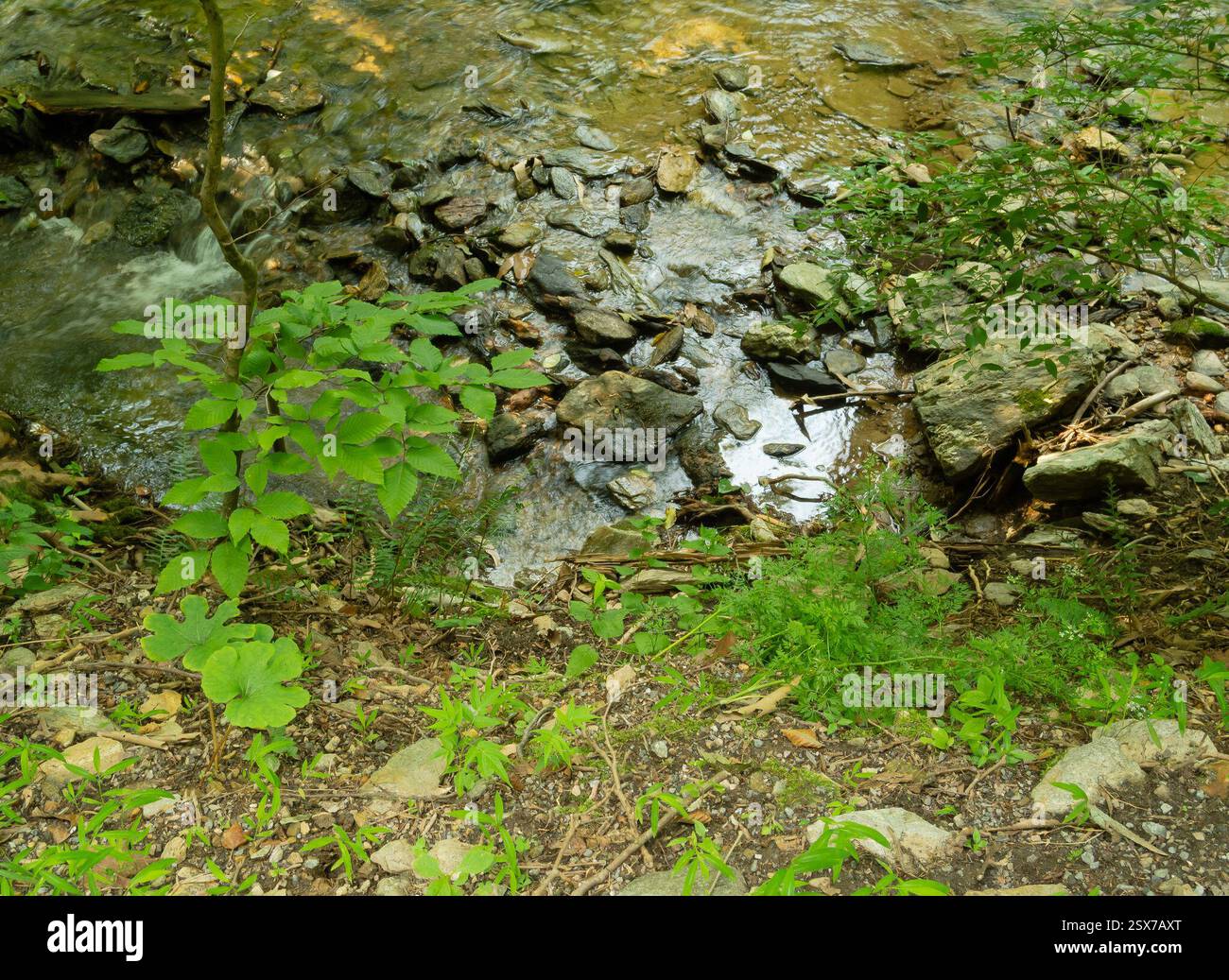 Tucquan glen hi-res stock photography and images - Alamy