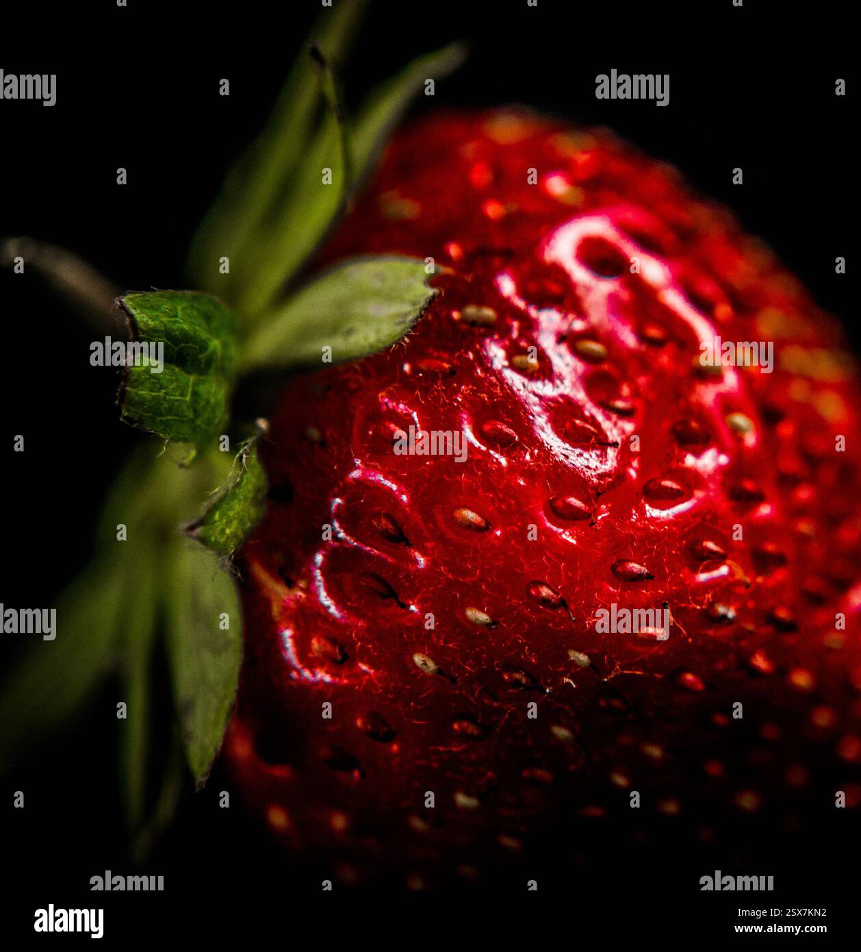 Strawberry illustration vector hi-res stock photography and images - Alamy