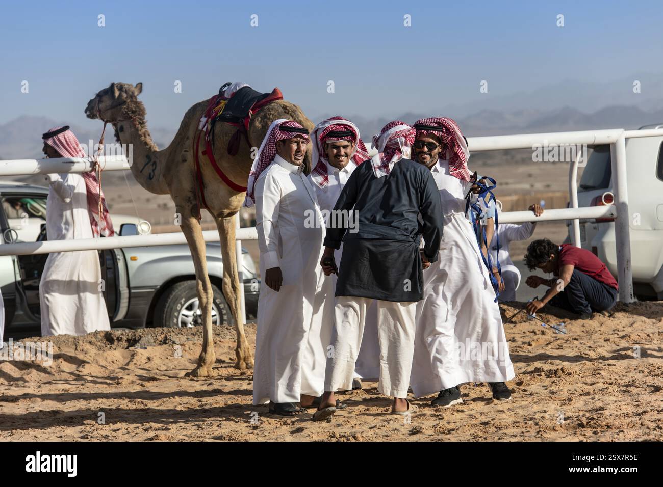 Sheikhs enjoy the Al Ula Camel Cup at the Mughayra Heritage Sports Village, Al Ula, Saudi Arabia, Asia Stock Photo