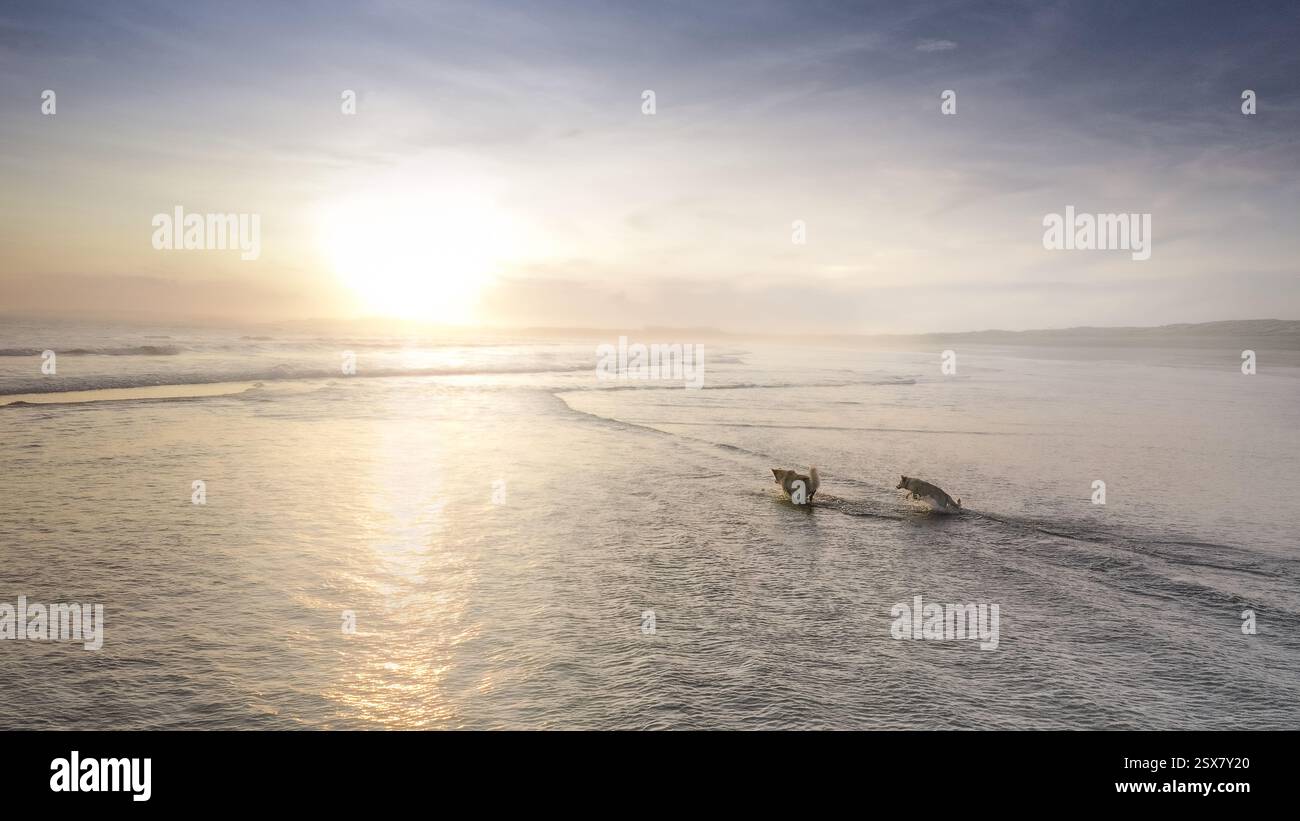 Happy family playing beach ball hi-res stock photography and images - Alamy