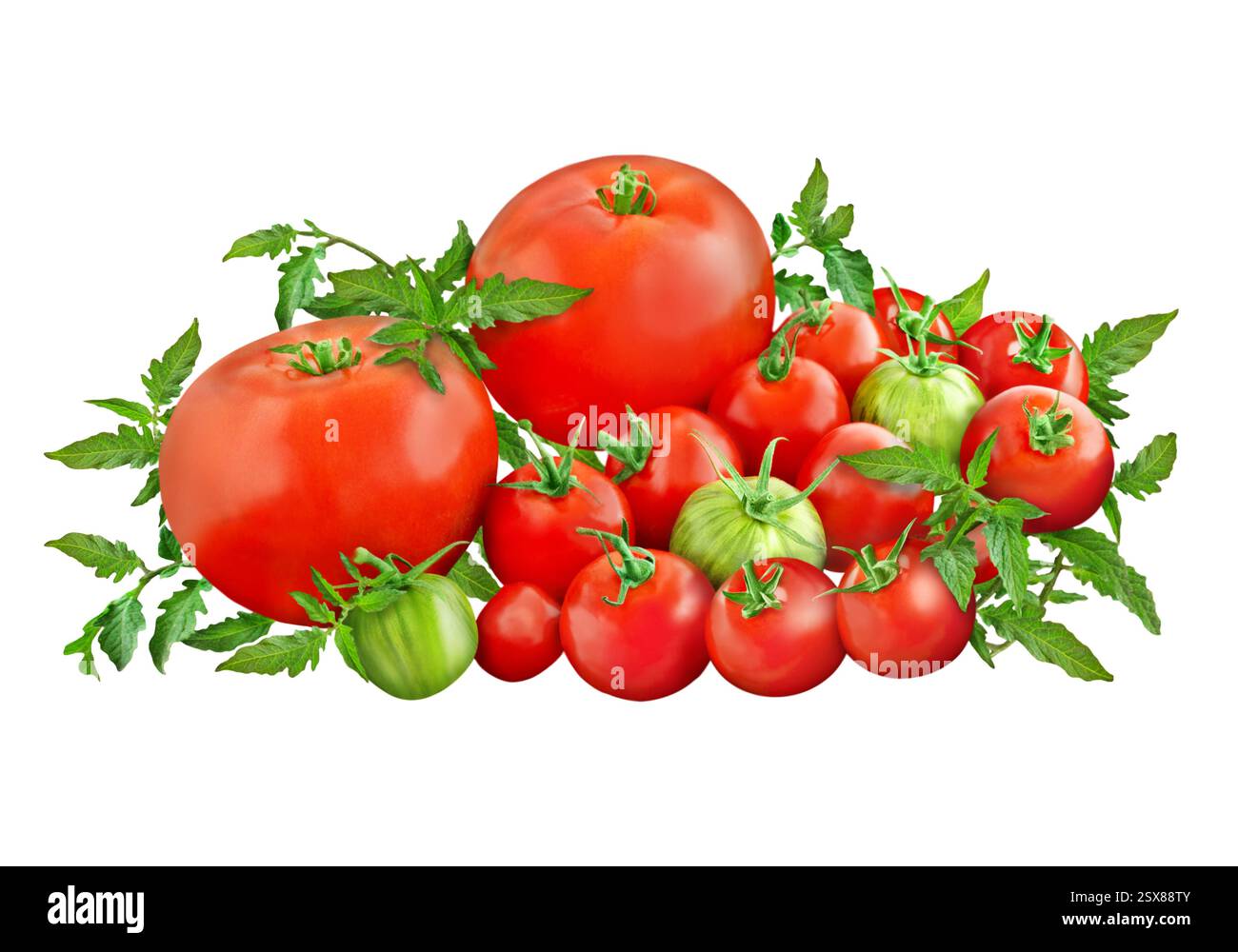 Red and green tomatoes isolated on white background Stock Photo