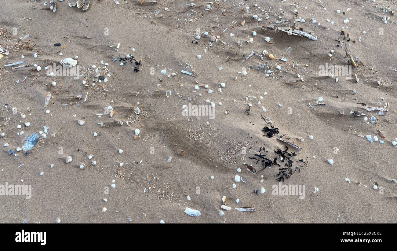 Close up wind swept sand beach shells and stones abstract background sea shore coastline costal texture - Smartphone Captured Stock Image