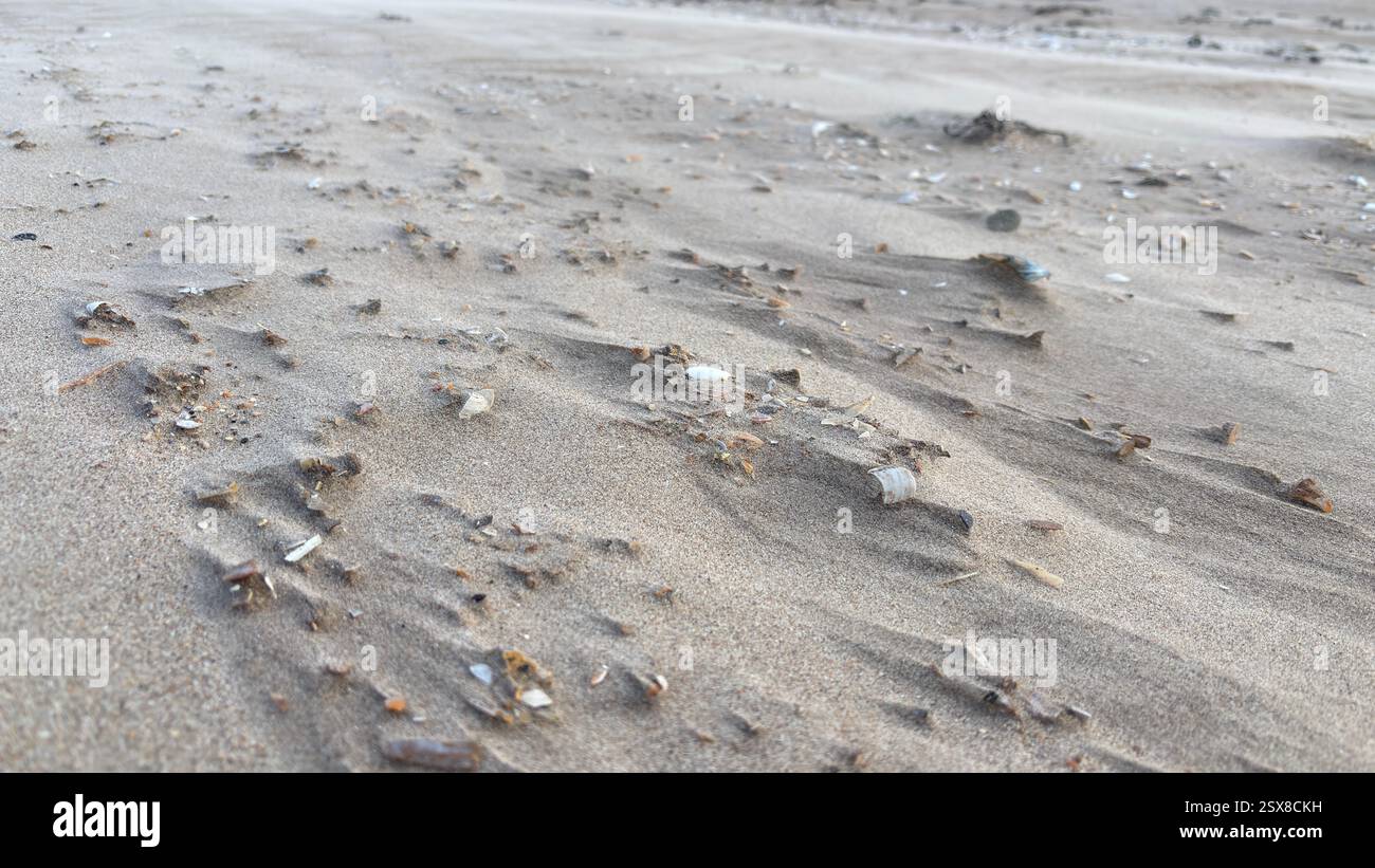 Close up wind swept sand beach shells and stones abstract background sea shore coastline costal texture - Smartphone Captured Stock Image