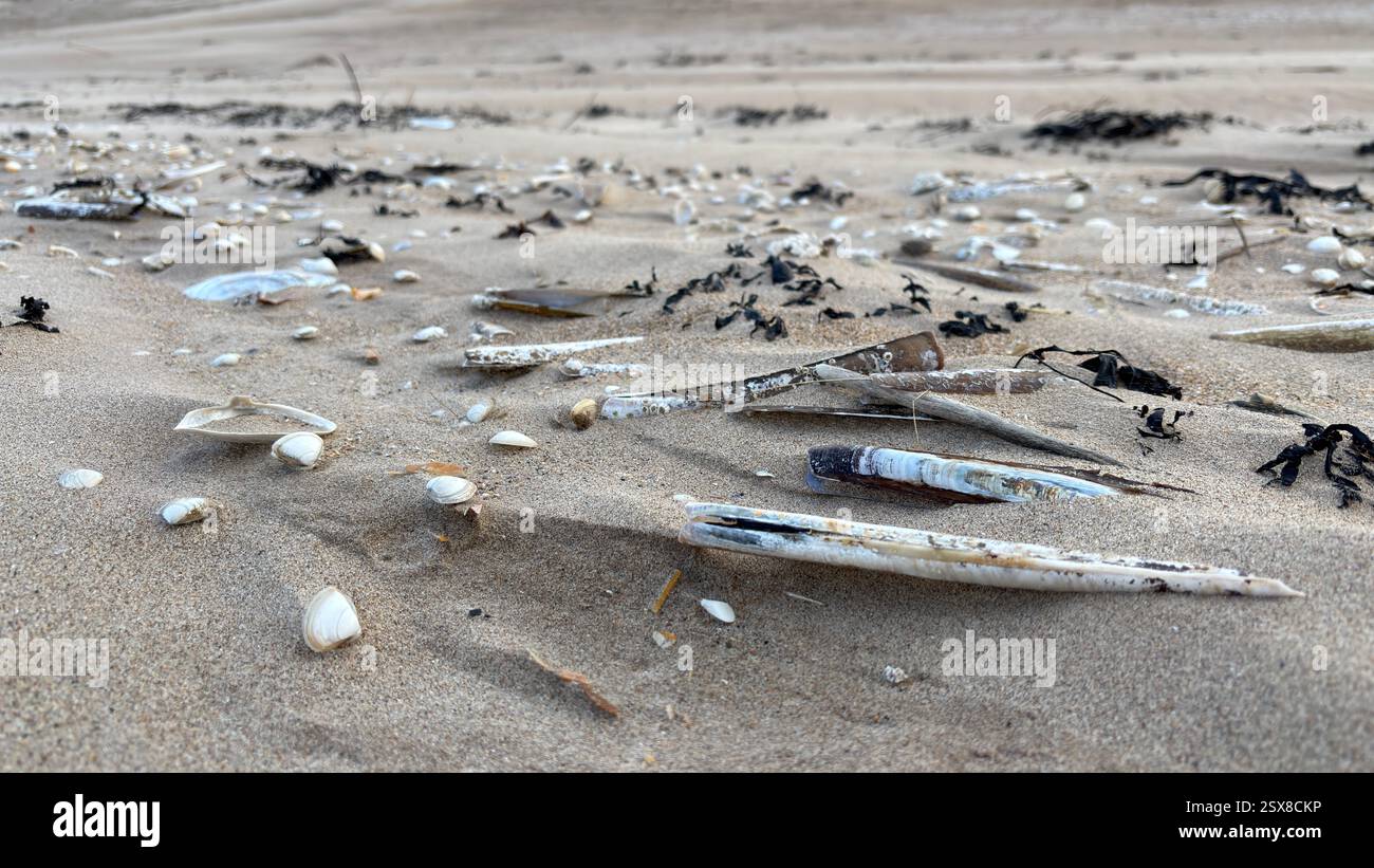 Close up wind swept sand beach shells and stones abstract background sea shore coastline costal texture - Smartphone Captured Stock Image