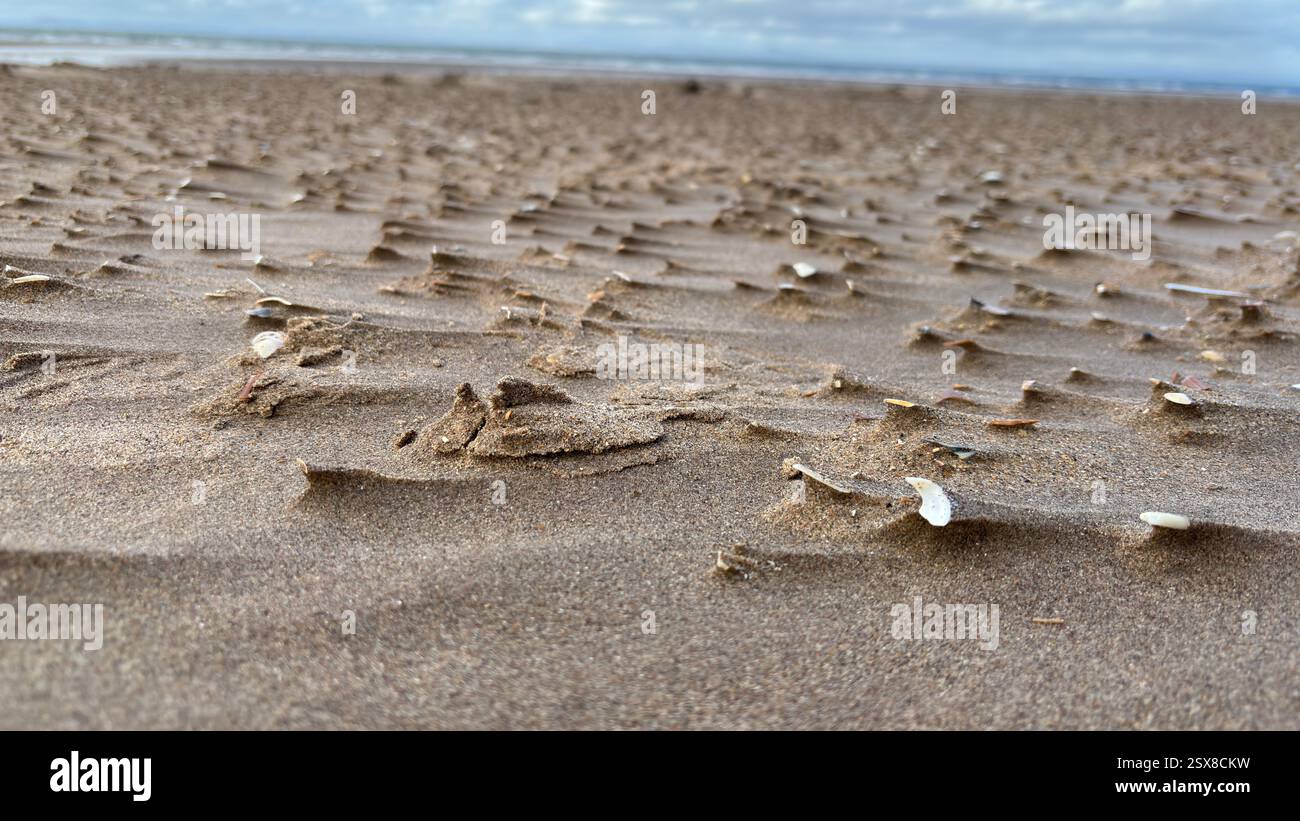 Close up wind swept sand beach shells and stones abstract background sea shore coastline costal texture - Smartphone Captured Stock Image