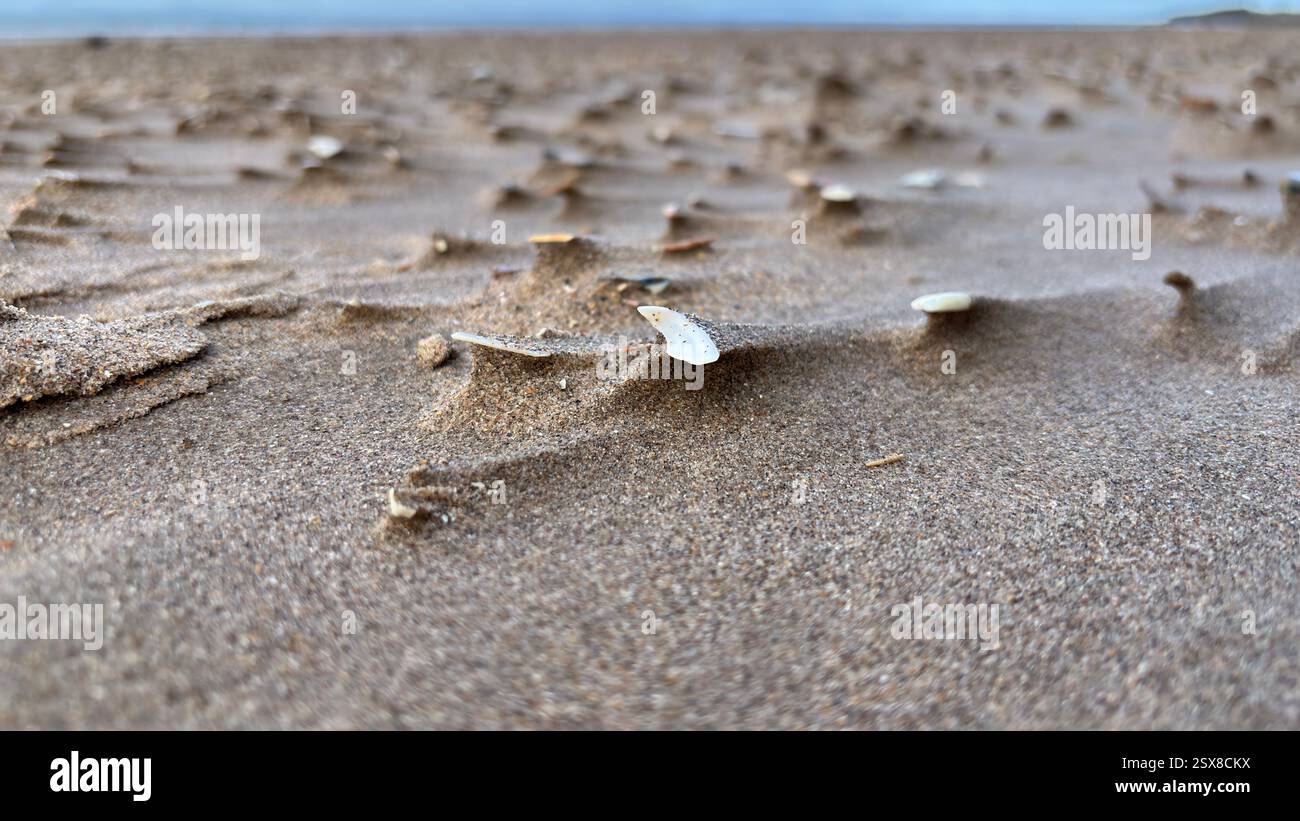 Close up wind swept sand beach shells and stones abstract background sea shore coastline costal texture - Smartphone Captured Stock Image