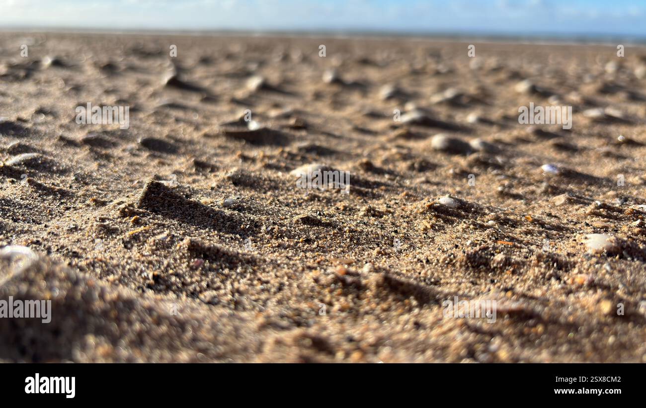 Close up wind swept sand beach shells and stones abstract background sea shore coastline costal texture - Smartphone Captured Stock Image