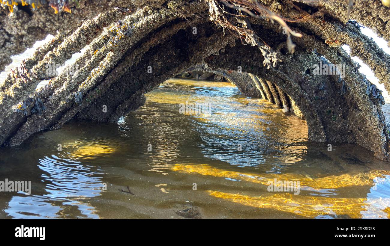 XT-class craft midget submarine ship wreck on Aberlady Beach. World War Two relic destroyed navy ship submarine u-boat - Smartphone Captured Stock Image
