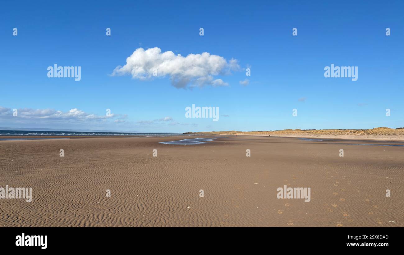 Aberlady Beach near Edinburgh in Scotland. Windswept beach on a bright Spring day. Light clouds, golden sand, sweeping coastline and sea shore - Smartphone Captured Stock Image