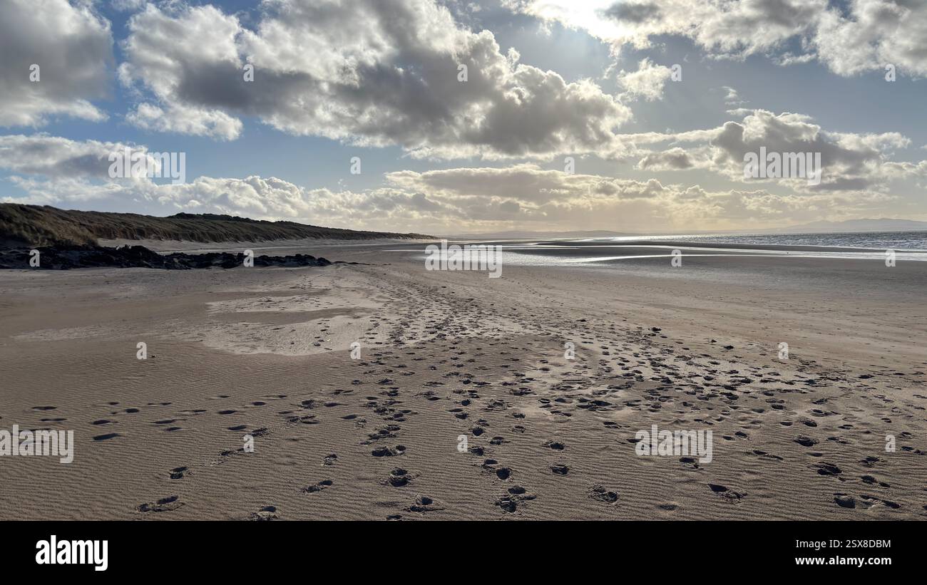 Aberlady Beach near Edinburgh in Scotland. Windswept beach on a bright Spring day. Light clouds, golden sand, sweeping coastline and sea shore - Smartphone Captured Stock Image