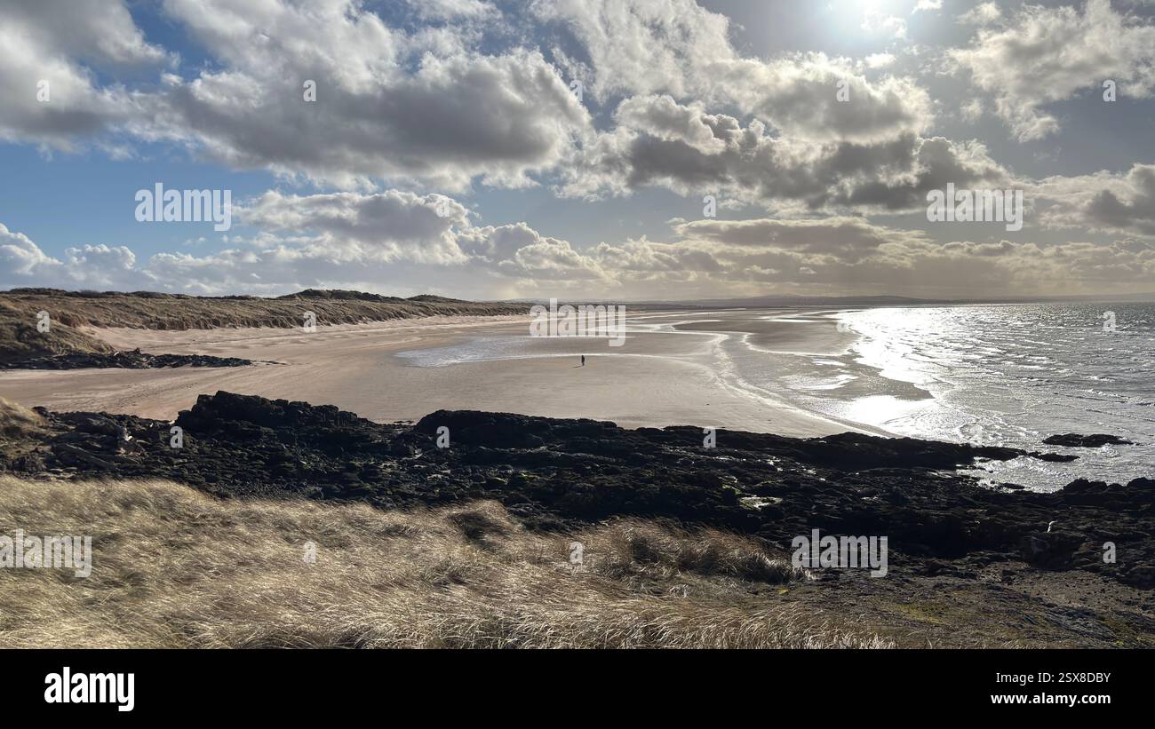 Aberlady Beach near Edinburgh in Scotland. Windswept beach on a bright Spring day. Light clouds, golden sand, sweeping coastline and sea shore - Smartphone Captured Stock Image