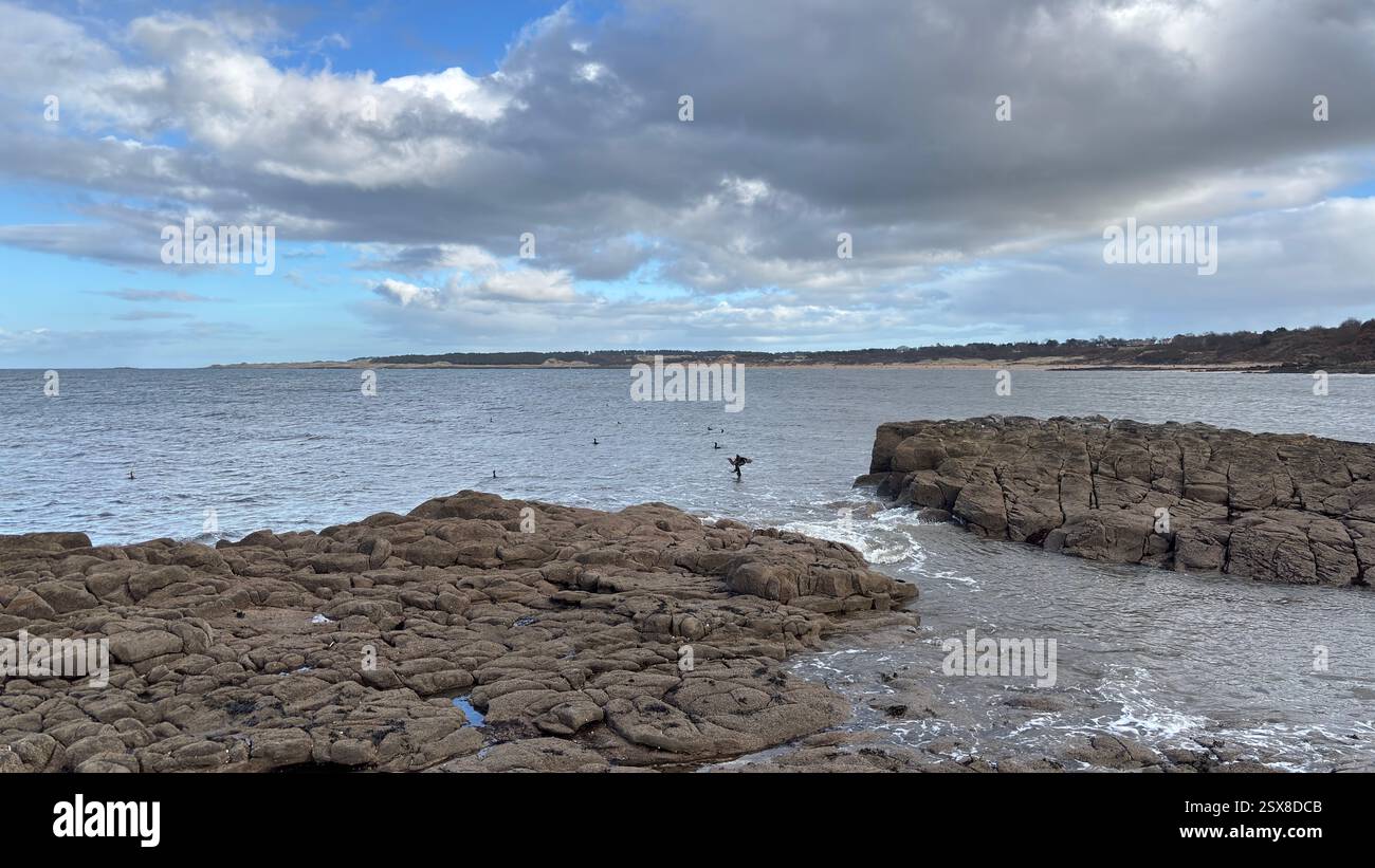 Aberlady Beach near Edinburgh in Scotland. Windswept beach on a bright Spring day. Light clouds, golden sand, sweeping coastline and sea shore - Smartphone Captured Stock Image