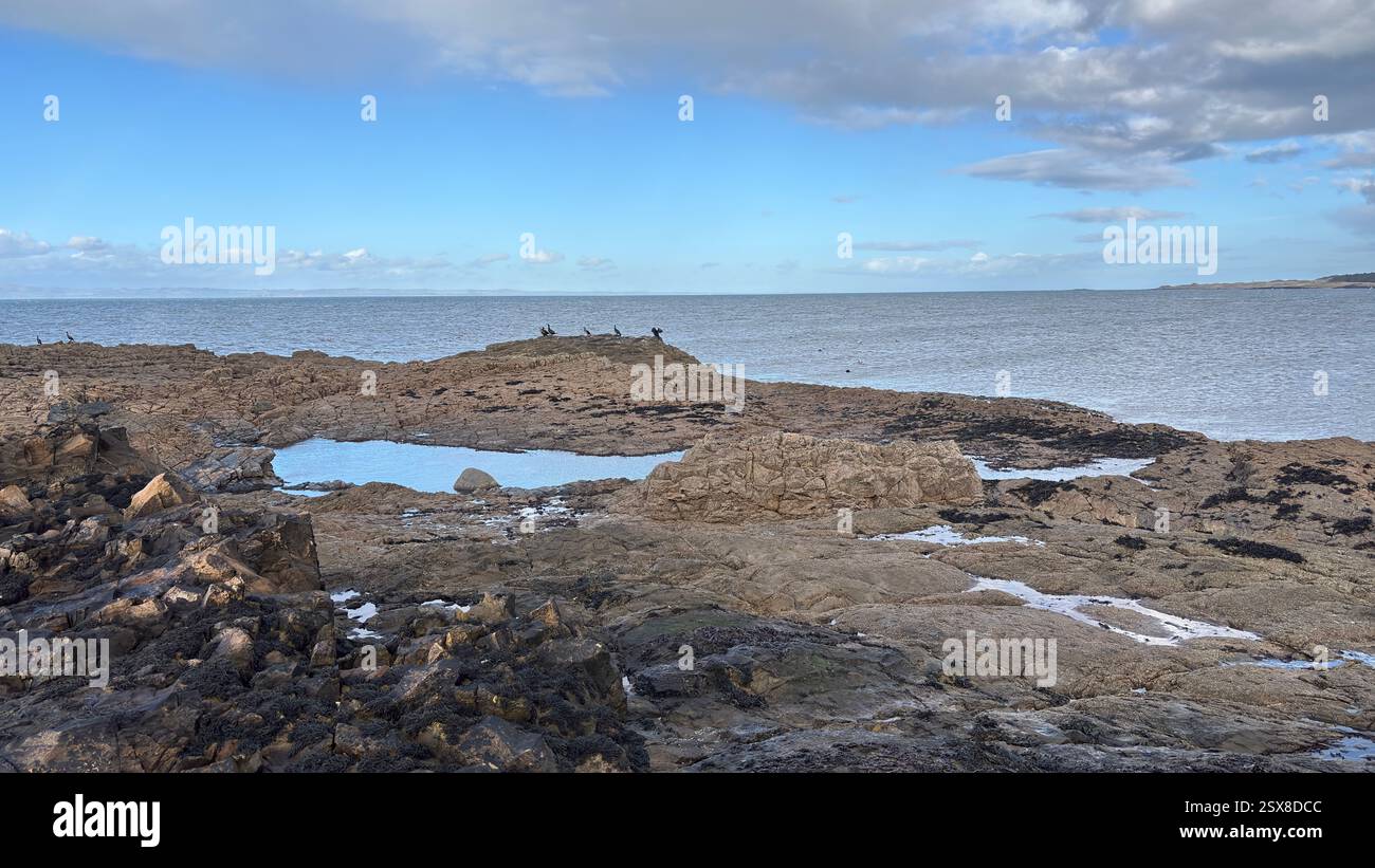 Aberlady Beach near Edinburgh in Scotland. Windswept beach on a bright Spring day. Light clouds, golden sand, sweeping coastline and sea shore - Smartphone Captured Stock Image