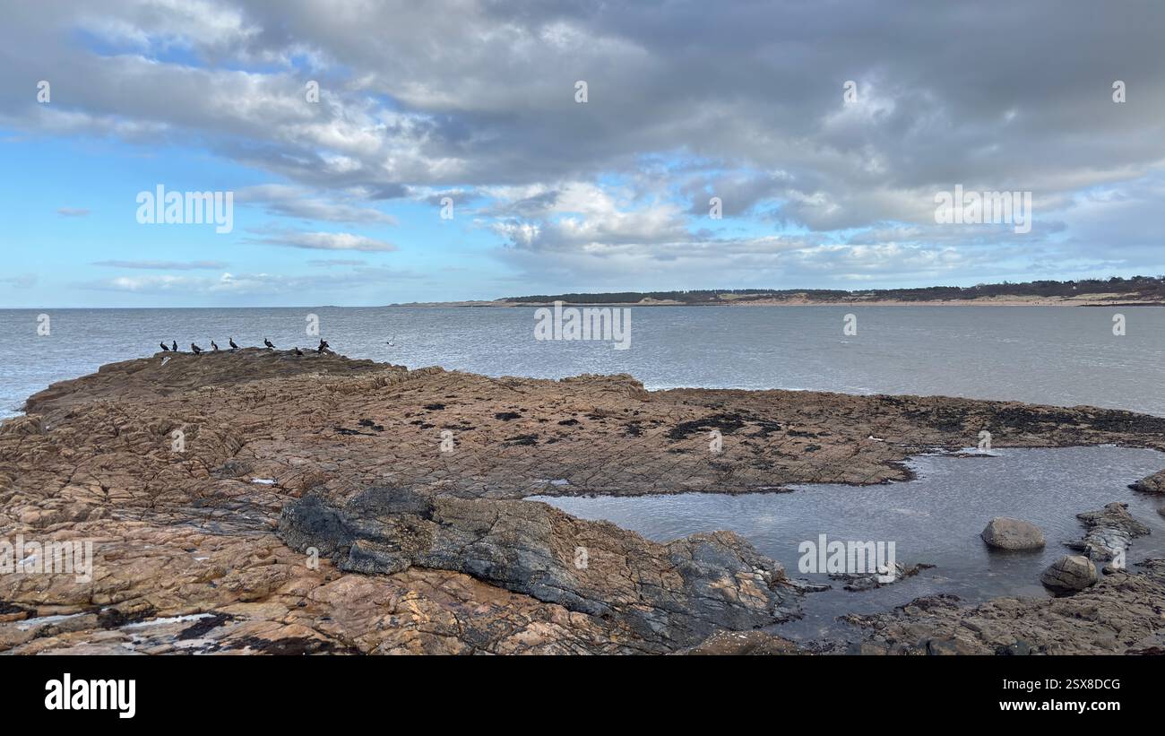 Aberlady Beach near Edinburgh in Scotland. Windswept beach on a bright Spring day. Light clouds, golden sand, sweeping coastline and sea shore - Smartphone Captured Stock Image