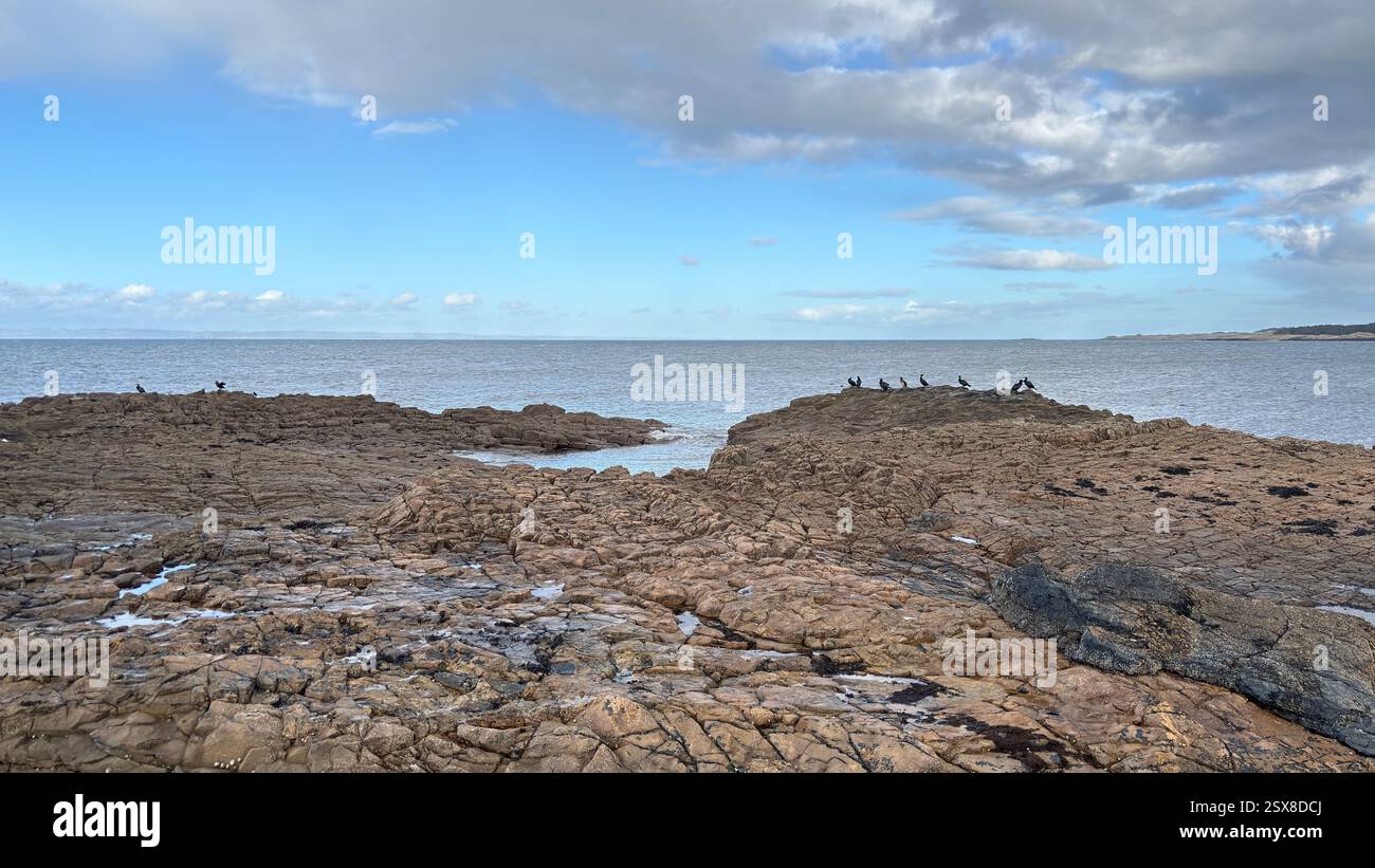 Aberlady Beach near Edinburgh in Scotland. Windswept beach on a bright Spring day. Light clouds, golden sand, sweeping coastline and sea shore - Smartphone Captured Stock Image