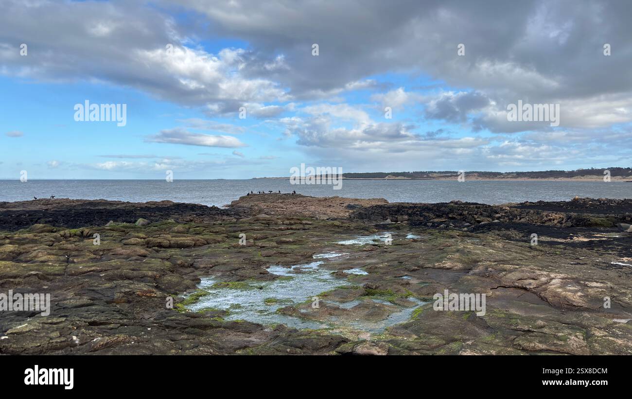 Aberlady Beach near Edinburgh in Scotland. Windswept beach on a bright Spring day. Light clouds, golden sand, sweeping coastline and sea shore - Smartphone Captured Stock Image