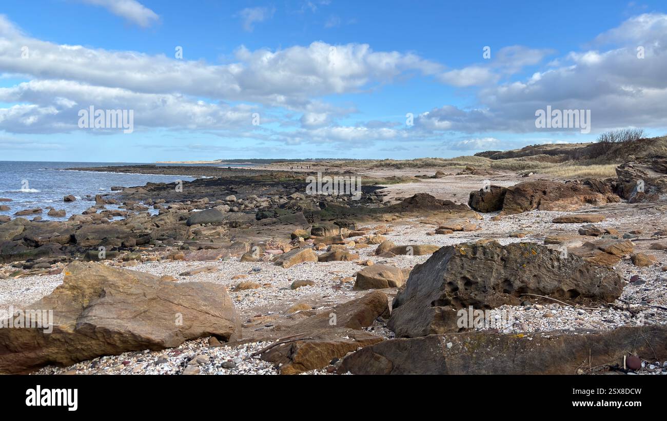 Aberlady Beach near Edinburgh in Scotland. Windswept beach on a bright Spring day. Light clouds, golden sand, sweeping coastline and sea shore - Smartphone Captured Stock Image