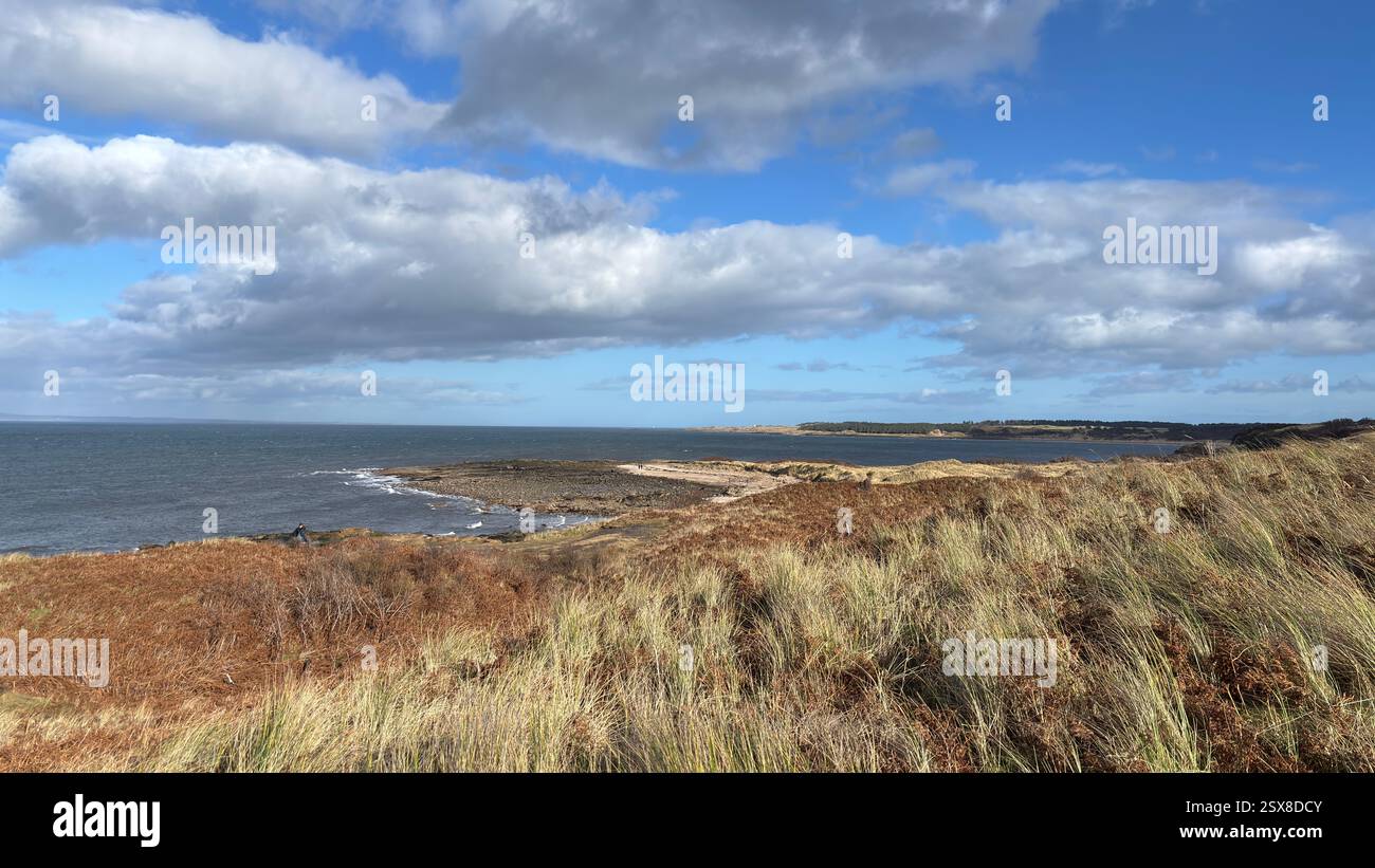 Aberlady Beach near Edinburgh in Scotland. Windswept beach on a bright Spring day. Light clouds, golden sand, sweeping coastline and sea shore - Smartphone Captured Stock Image