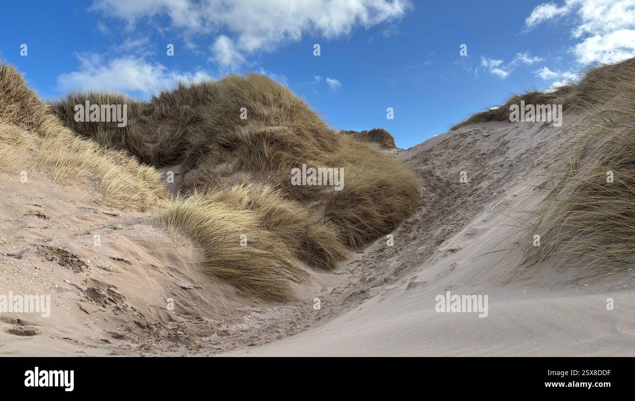 Aberlady Beach near Edinburgh in Scotland. Windswept beach on a bright Spring day. Light clouds, golden sand, sweeping coastline and sea shore - Smartphone Captured Stock Image