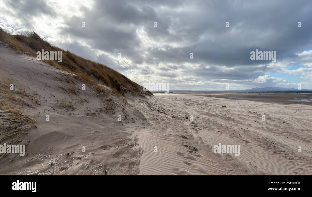 Aberlady Beach near Edinburgh in Scotland. Windswept beach on a bright Spring day. Light clouds, golden sand, sweeping coastline and sea shore - Smartphone Captured Stock Image