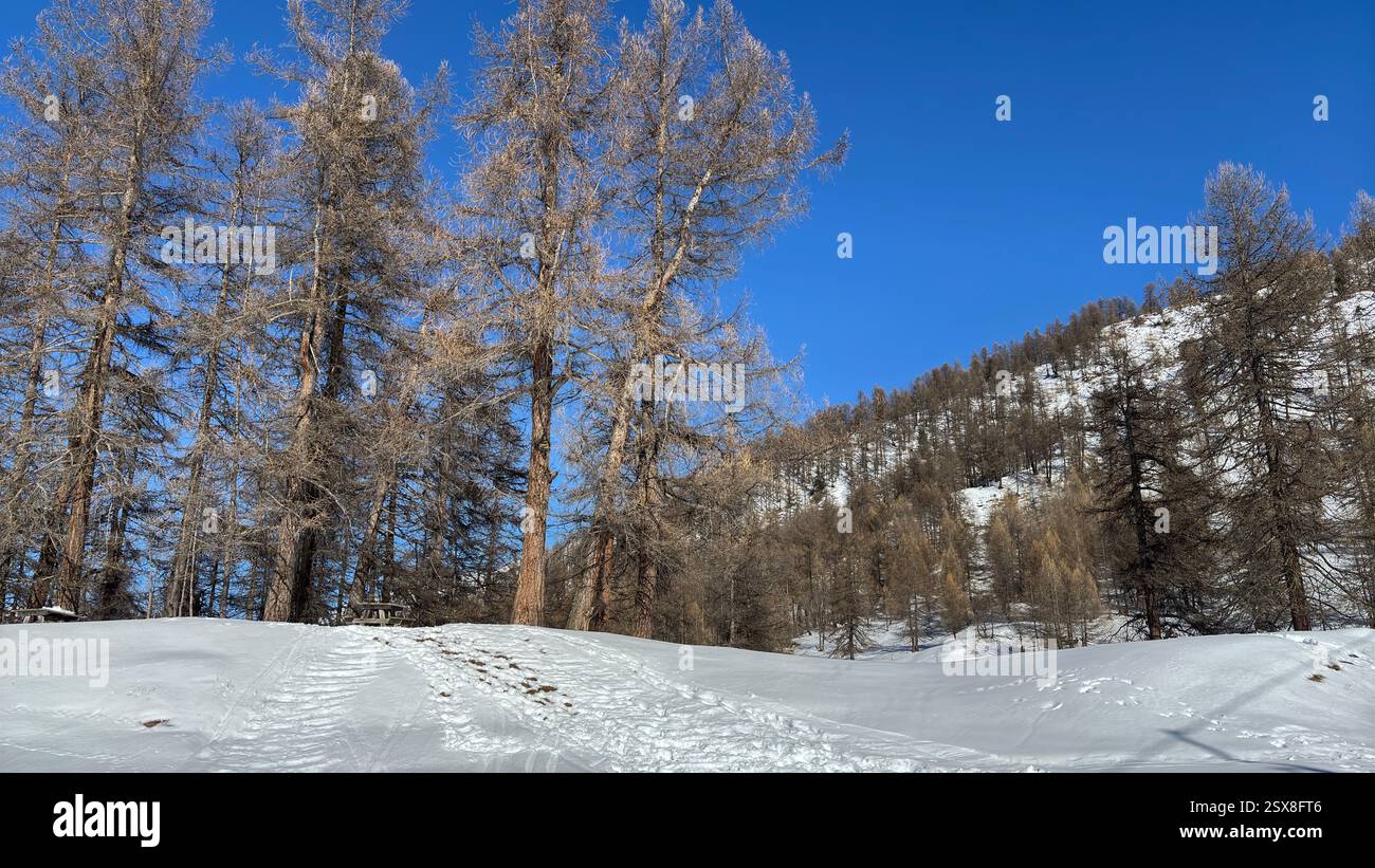 Piedmont Italy Sansicario. Ski resort snow and beautiful mountains. Alps. Alpine Mountain View skiing holiday travel outdoors beautiful winter landsca - Smartphone Captured Stock Image