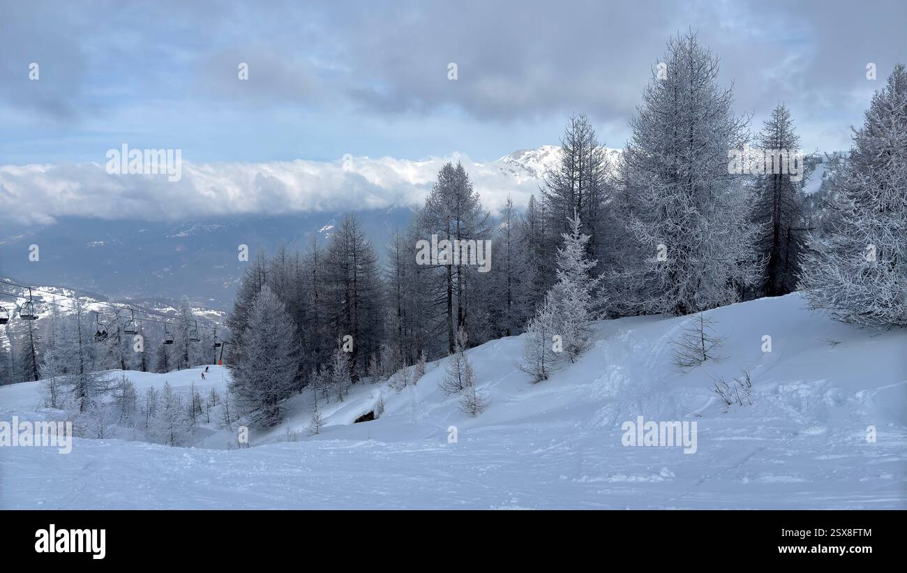 Frozen trees covered in ice and snow in the Italian Alps. Iconic winter scene in the mountains. Cold weather. Cold conditions. Natural hillside view. - Smartphone Captured Stock Image