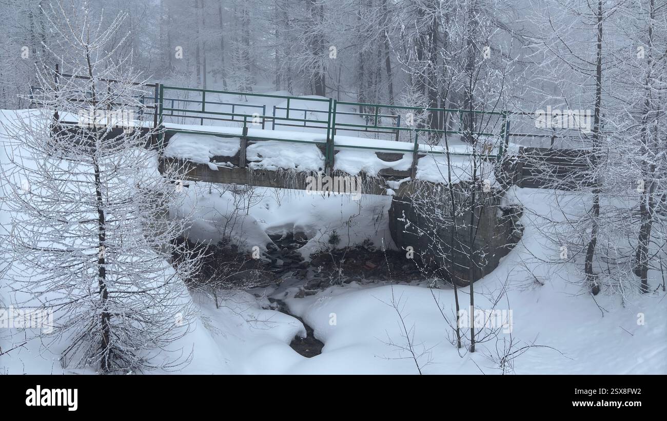 Frozen bridge deep in the forest. Covered in ice and snow in the Italian Alps. Iconic winter scene in the mountains. Cold weather. Cold conditions. - Smartphone Captured Stock Image