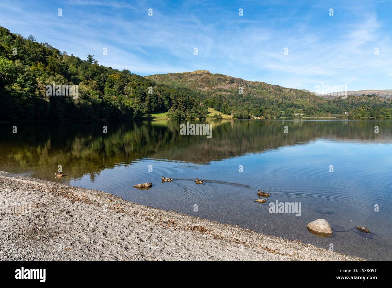 Beautiful morning at Grasmere in the Lake District national park, Cumbria, England. Stock Photo