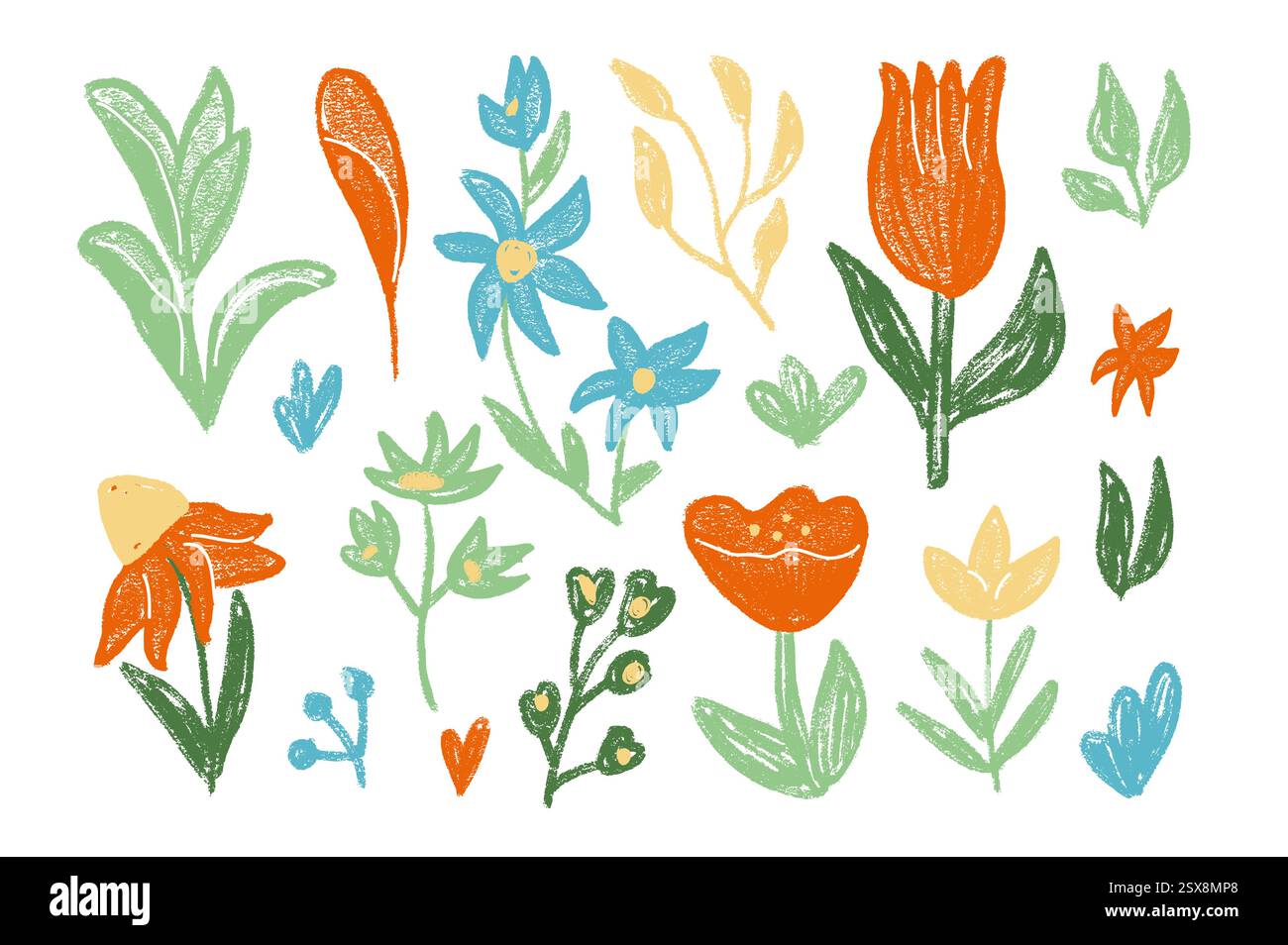 Vector Spring flowers crayon drawn set. Tulip, daisy, chamomile and ...