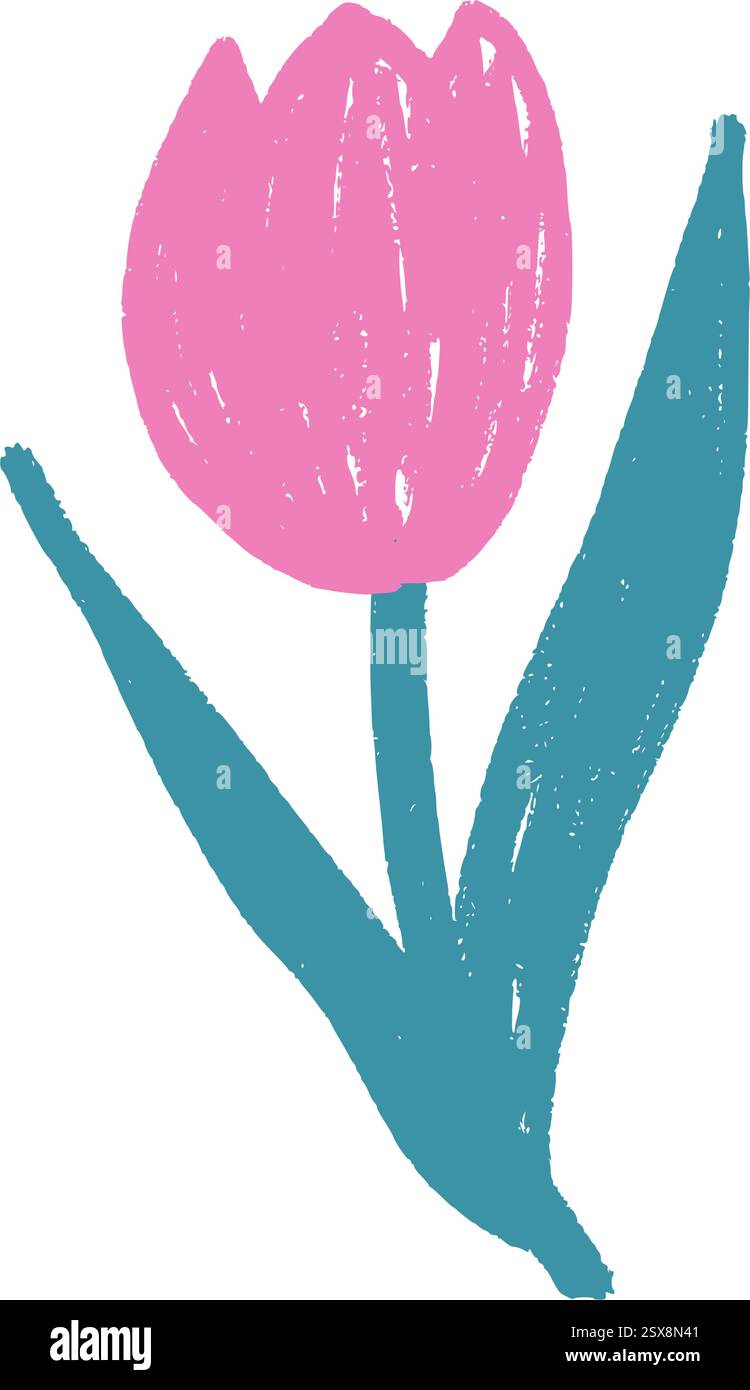 Tulip flower crayon drawn. Spring crocus plant doodle isolated on white ...