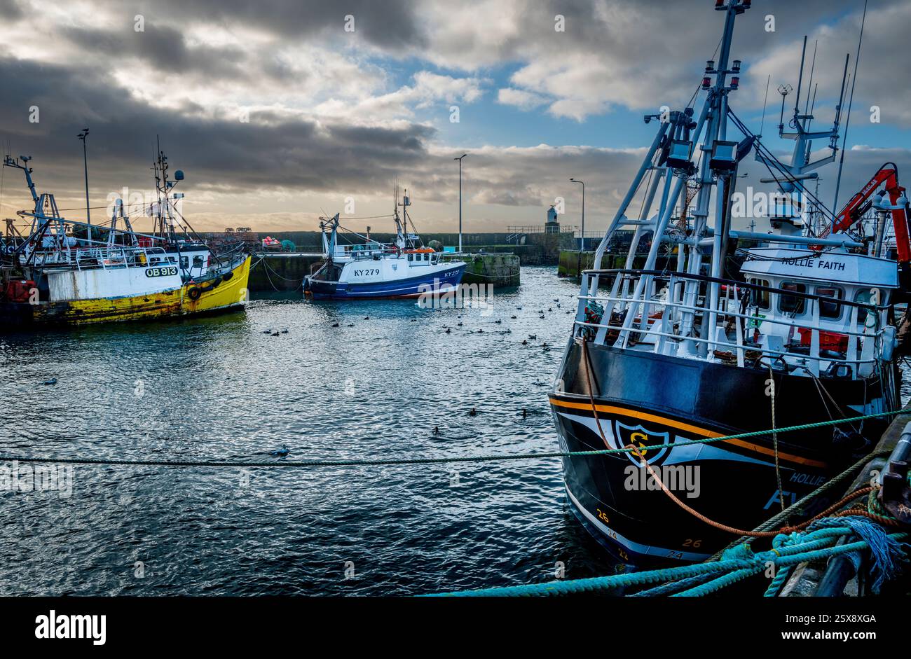 Fishing harbour in the Fife village of Pittenweem, Scotland Stock Photo ...