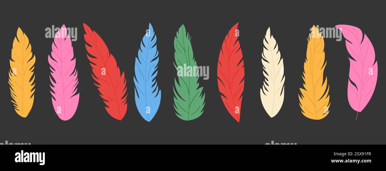 Colorful bird feathers set. Hand drawn illustration Stock Vector Image ...