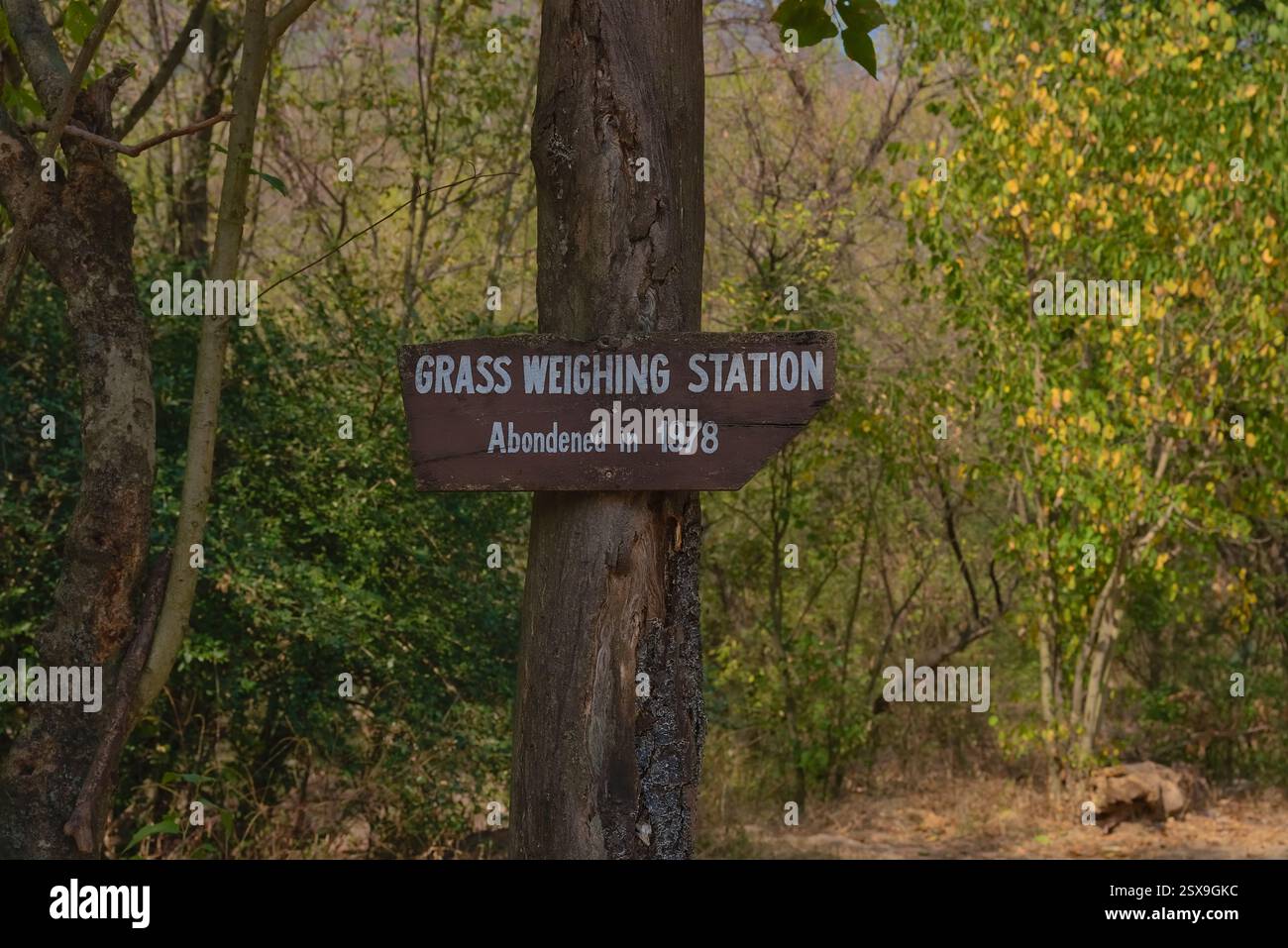 A sign-board giving directions to a grass weighing station on trail 5 in Margalla Hills, Islamabad. the word 'Abandoned' is jokingly misspelled Stock Photo