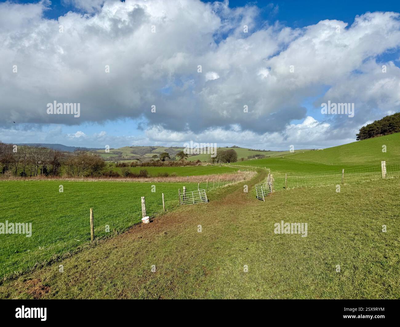 Walking the Footpaths from Quarry Hill, Chideock towards Hell Lane: Walking the Sunken Lanes of Dorset - Smartphone Captured Stock Image